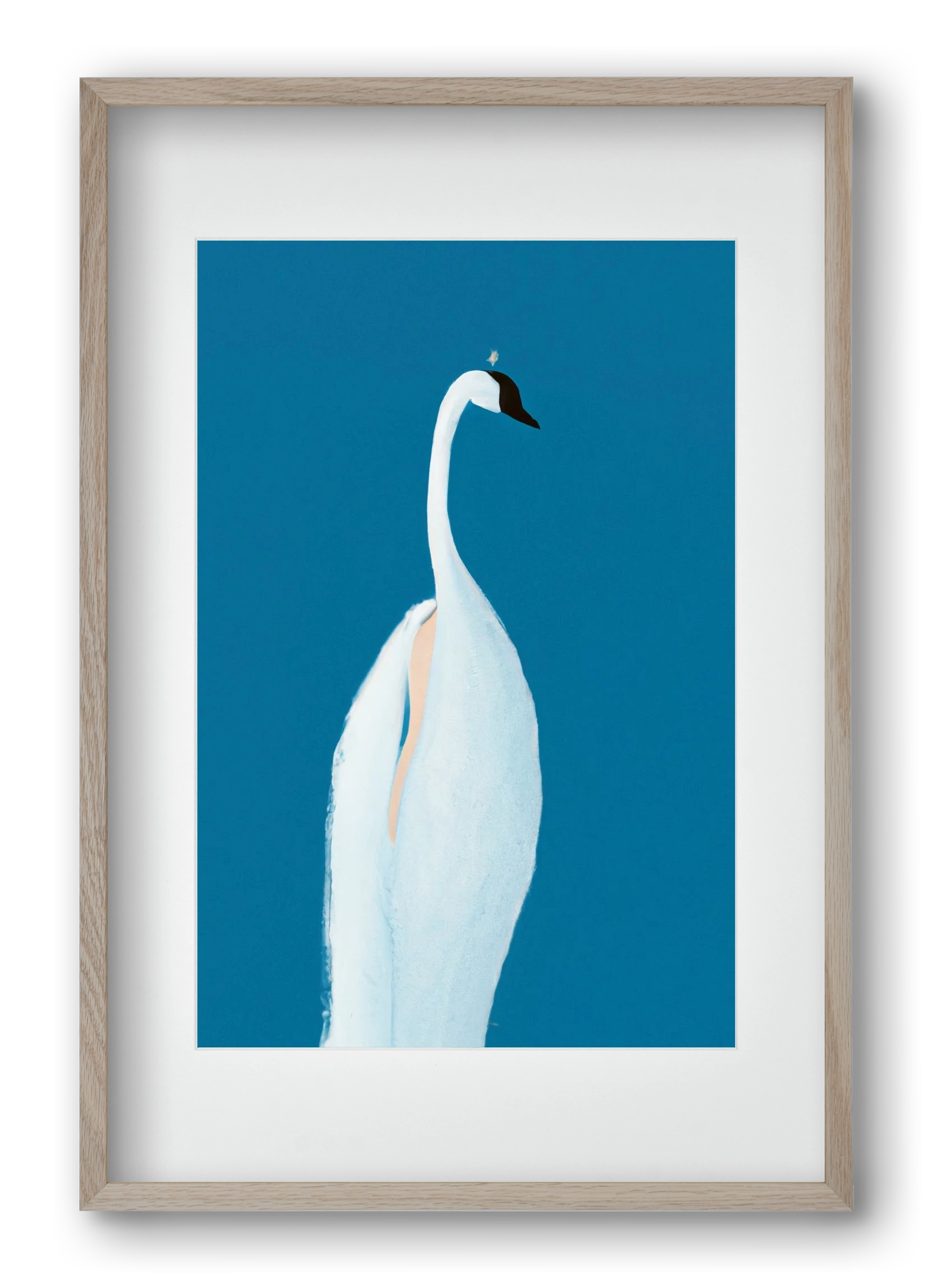 Swan maybe, 40x60 cm (30x45 cm), Tölgy keret, paszpartuval