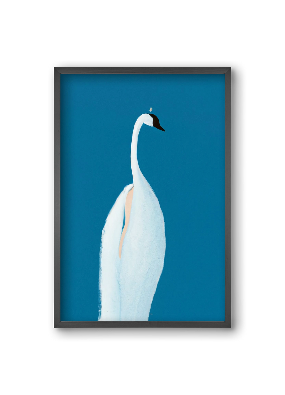 Swan maybe, 20x30 cm (20x30 cm), Fekete keret