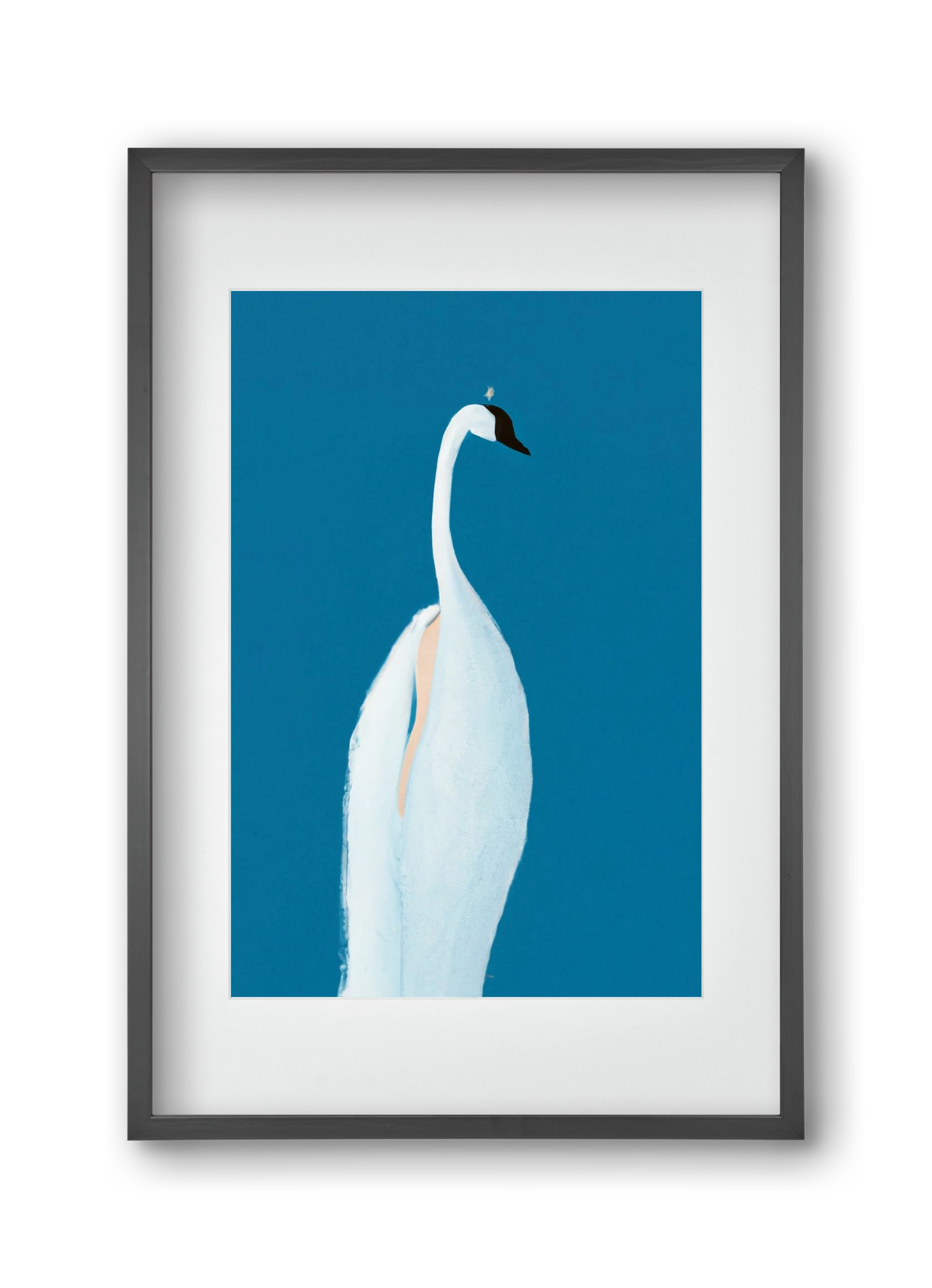 Swan maybe, 30x45 cm (20x30 cm), Fekete keret, paszpartuval