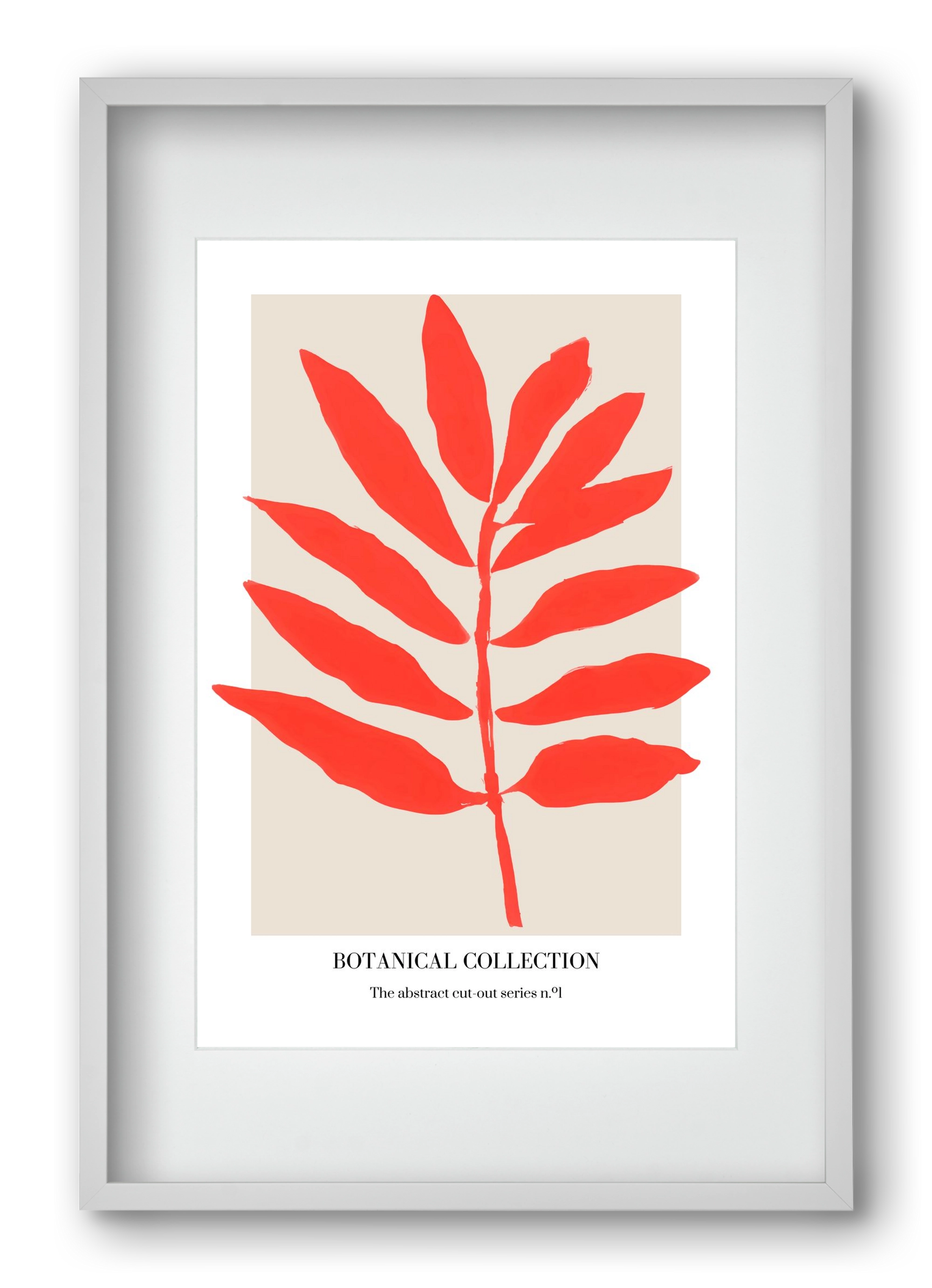 Botanical collection 1, 40x60 cm (30x45 cm), Fehér keret, paszpartuval
