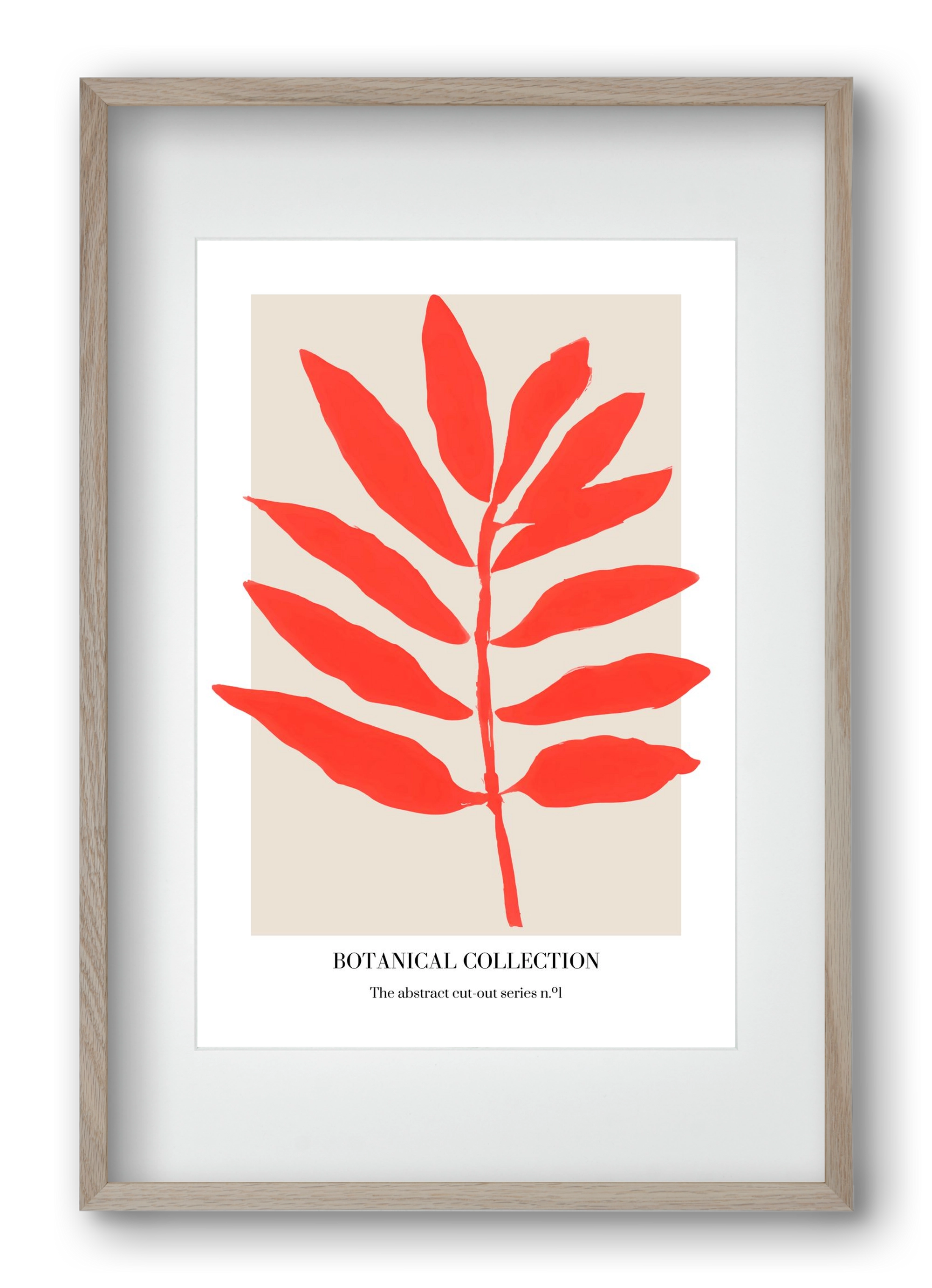 Botanical collection 1, 40x60 cm (30x45 cm), Tölgy keret, paszpartuval
