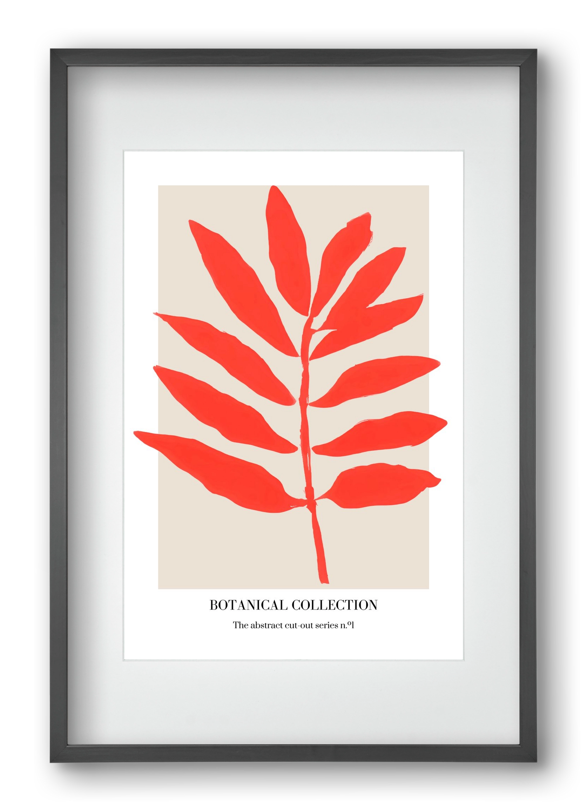Botanical collection 1, 40x60 cm (30x45 cm), Fekete keret, paszpartuval
