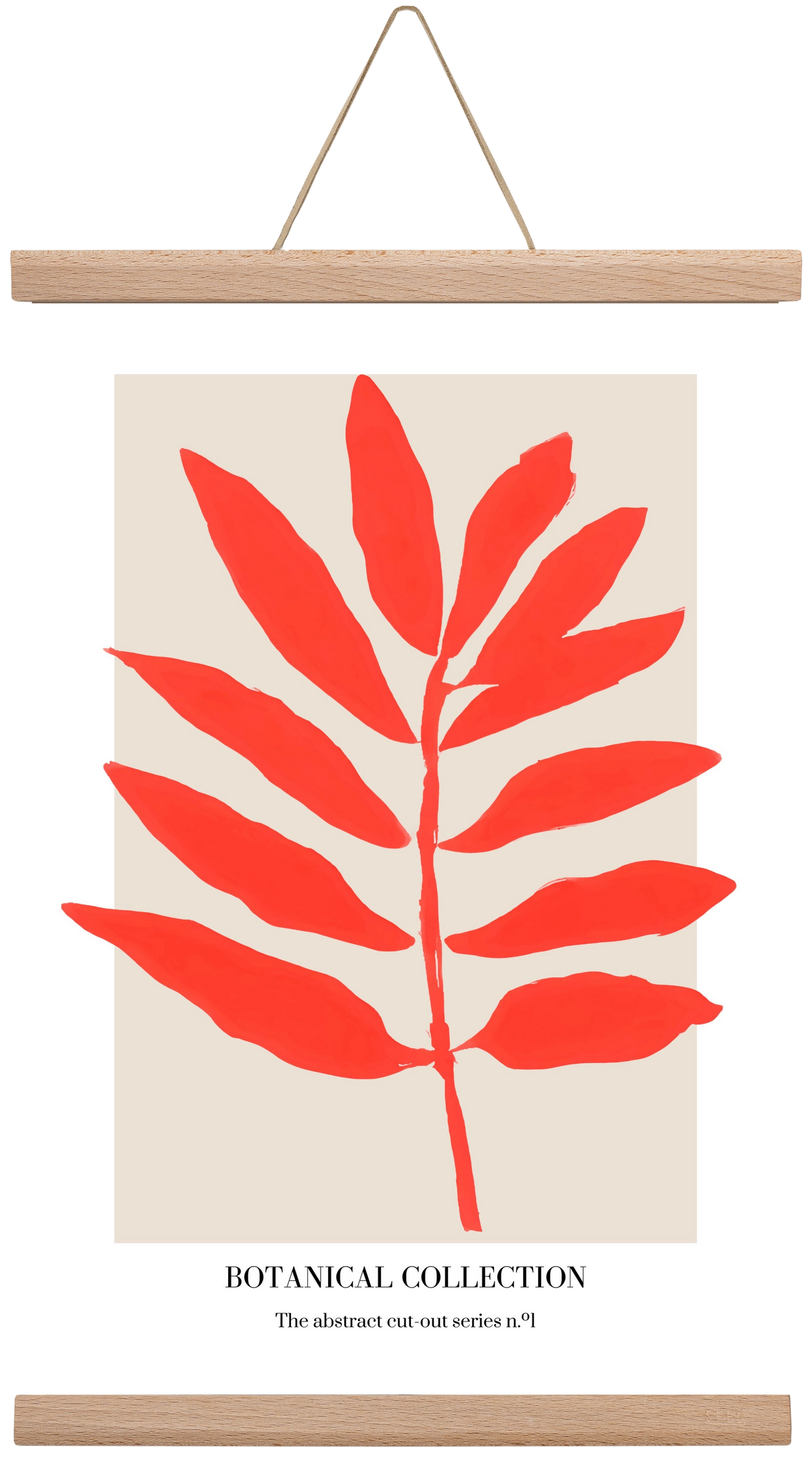 Botanical collection 1, 30x45 cm (30x45 cm), Tölgy akasztó