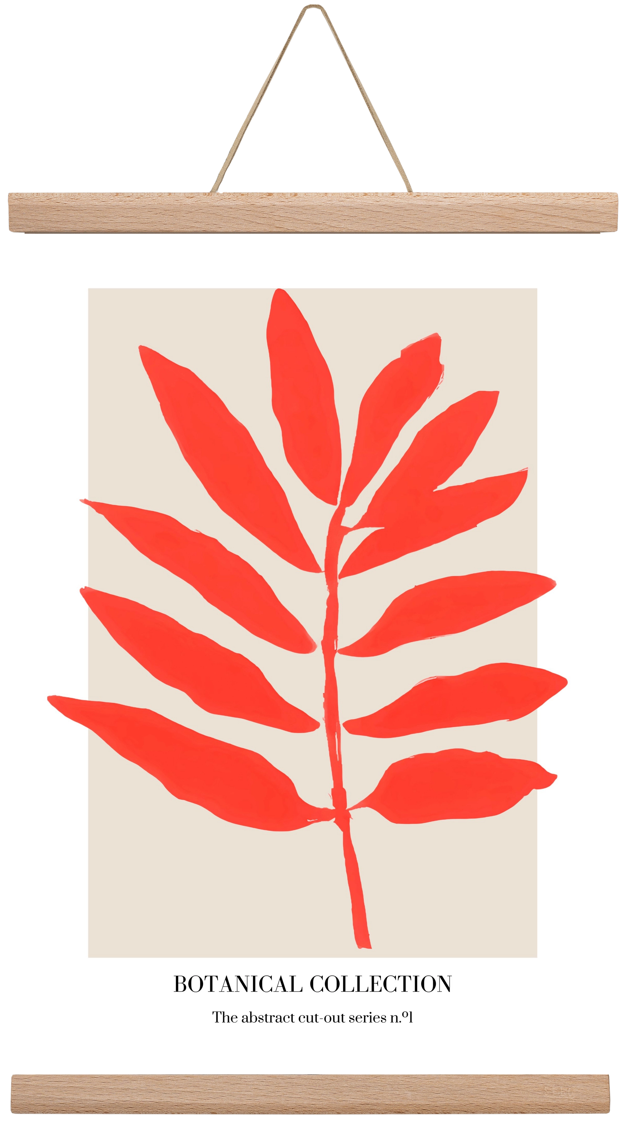 Botanical collection 1, 30x45 cm (30x45 cm), Tölgy akasztó