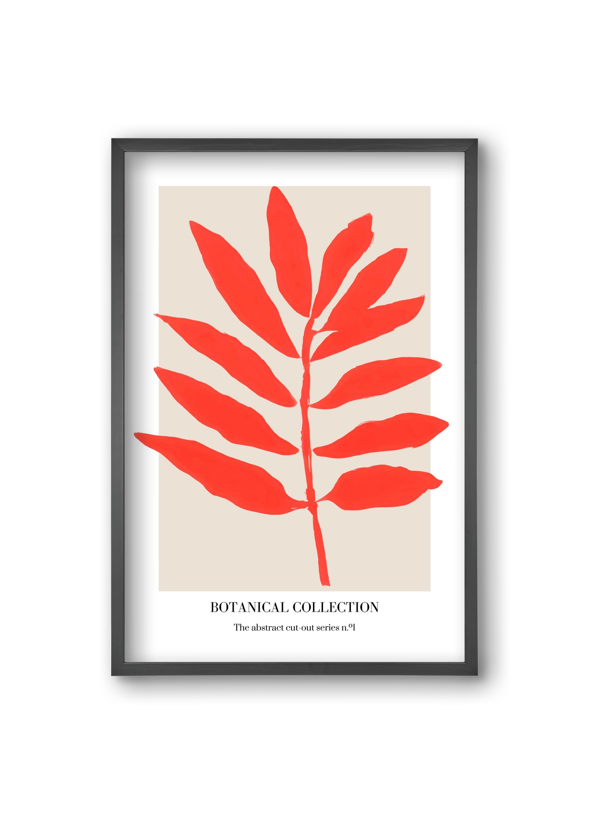 Botanical collection 1, 20x30 cm (20x30 cm), Fekete keret