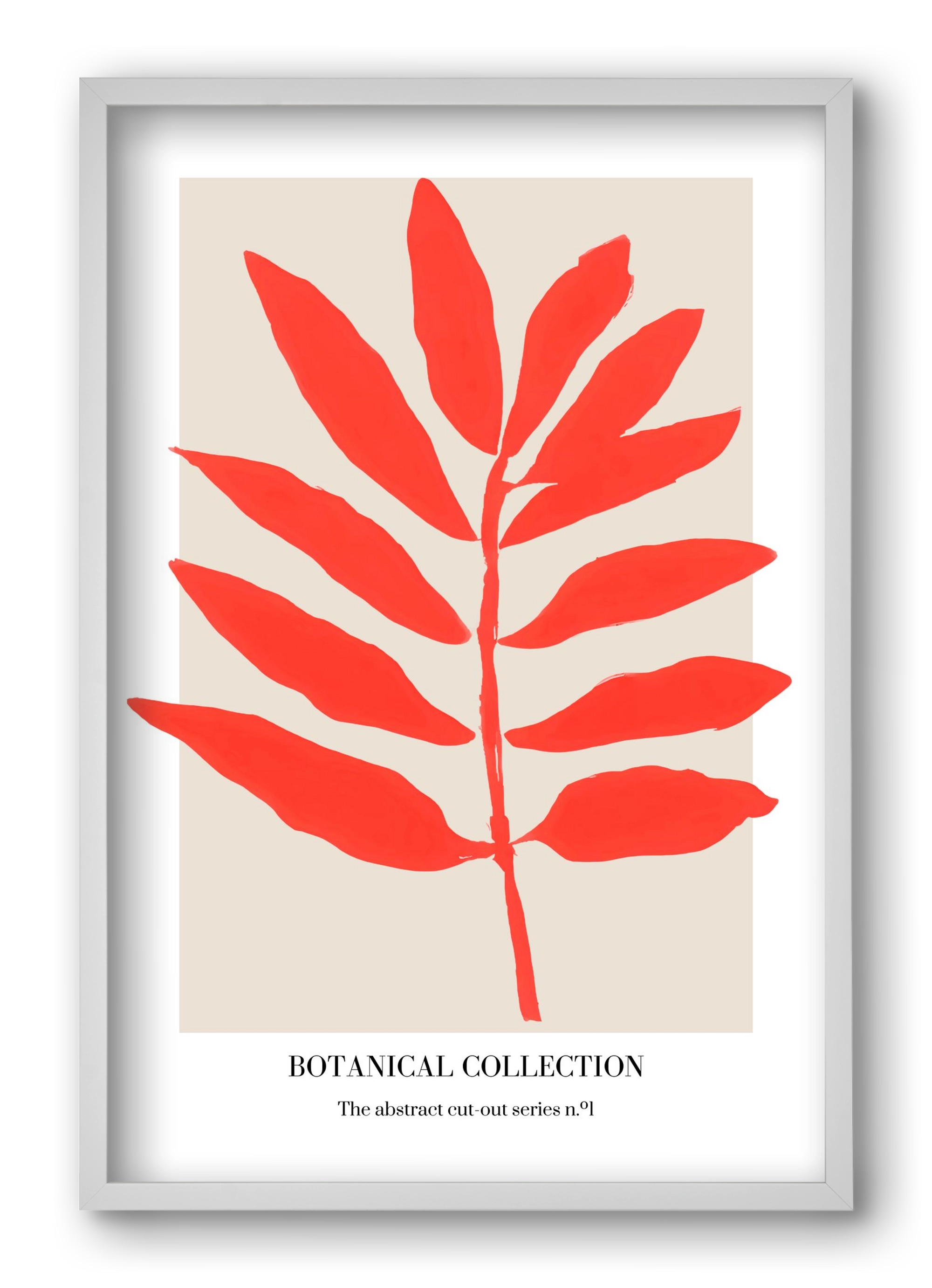 Botanical collection 1, 40x60 cm (40x60 cm), Fehér keret