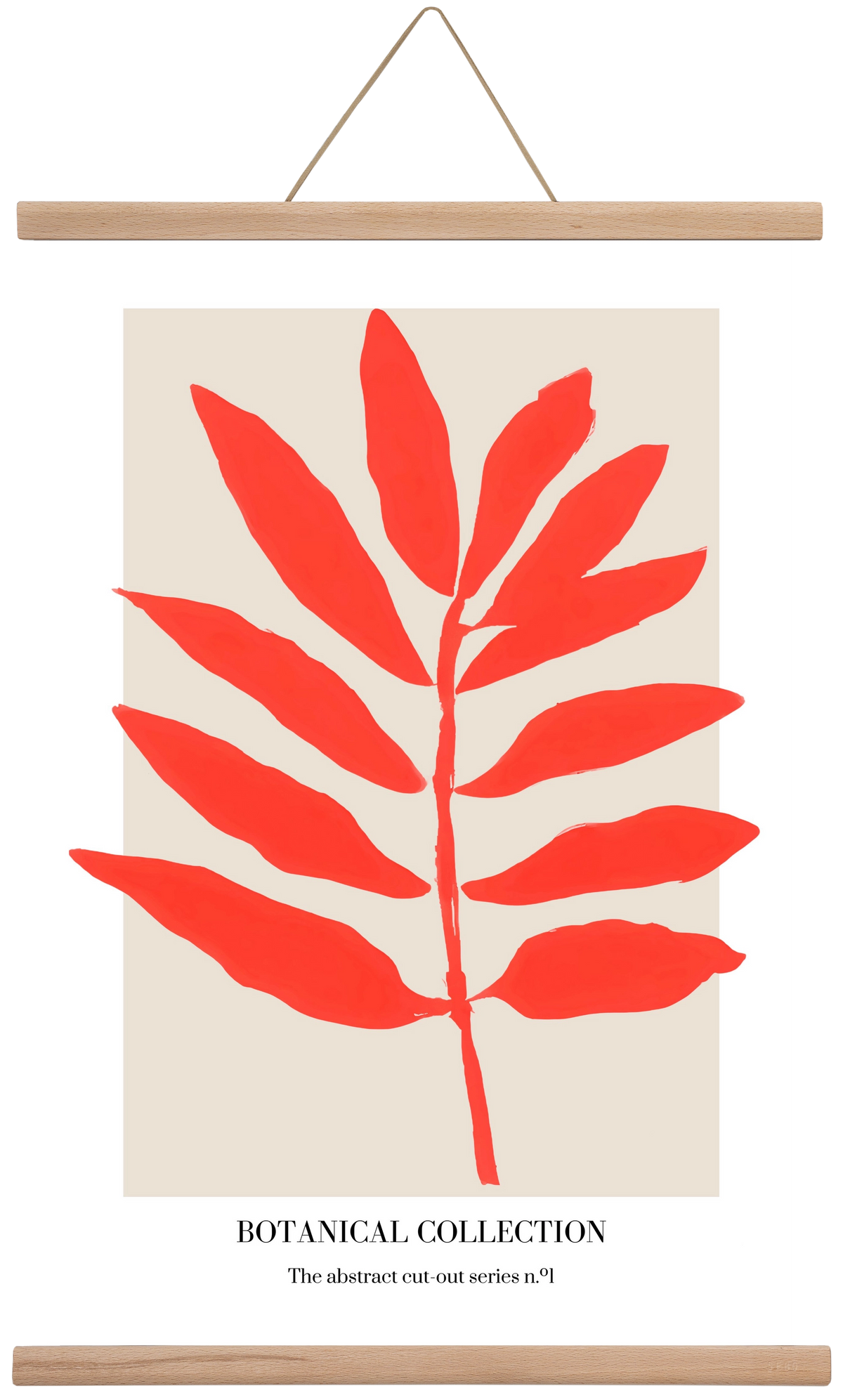 Botanical collection 1, 40x60 cm (40x60 cm), Tölgy akasztó