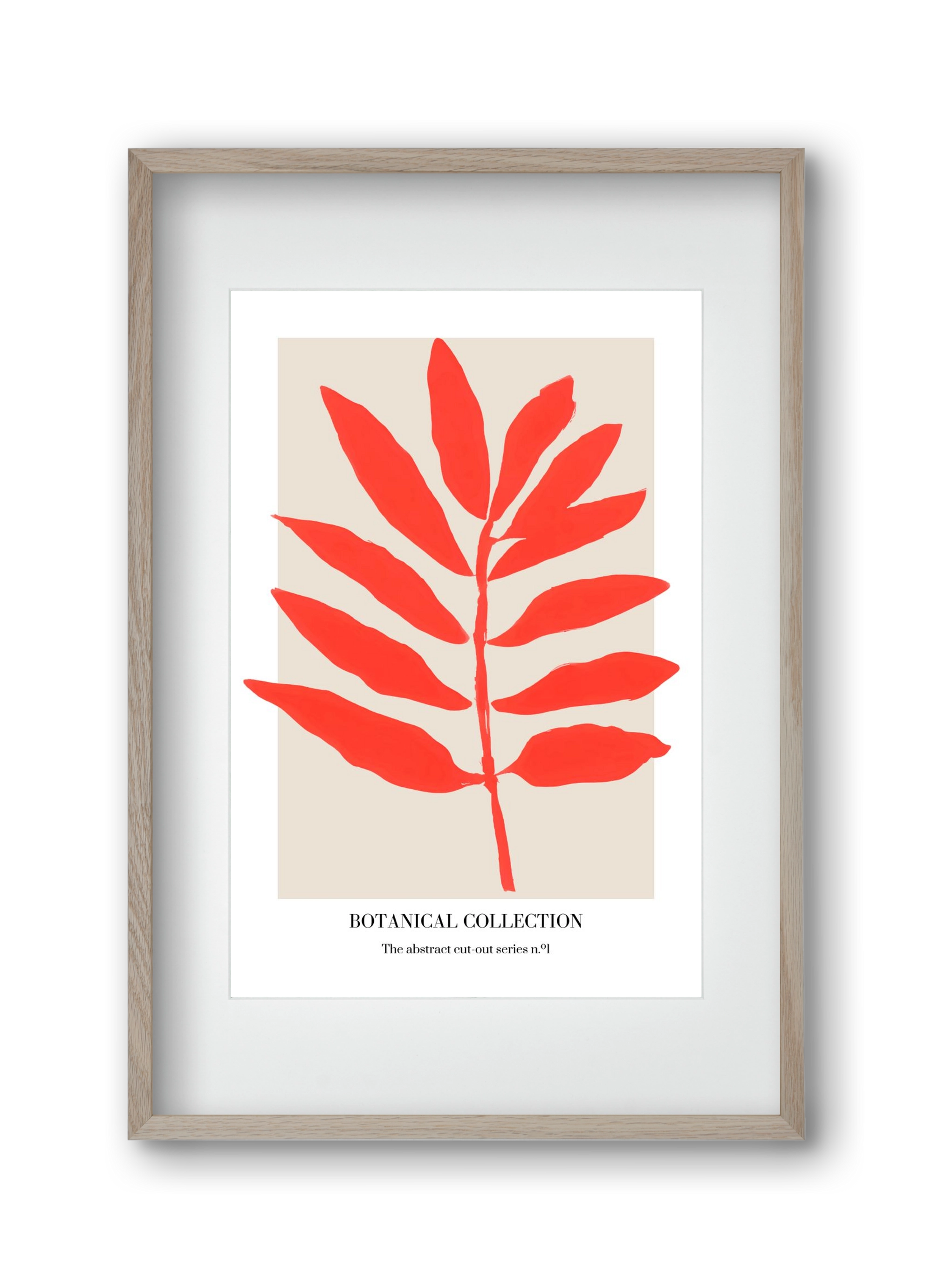 Botanical collection 1, 30x45 cm (20x30 cm), Tölgy keret, paszpartuval