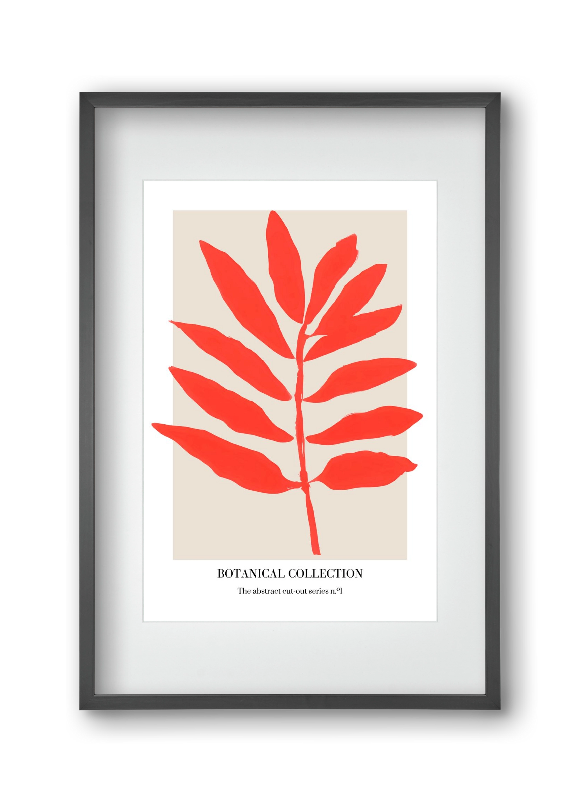 Botanical collection 1, 30x45 cm (20x30 cm), Fekete keret, paszpartuval