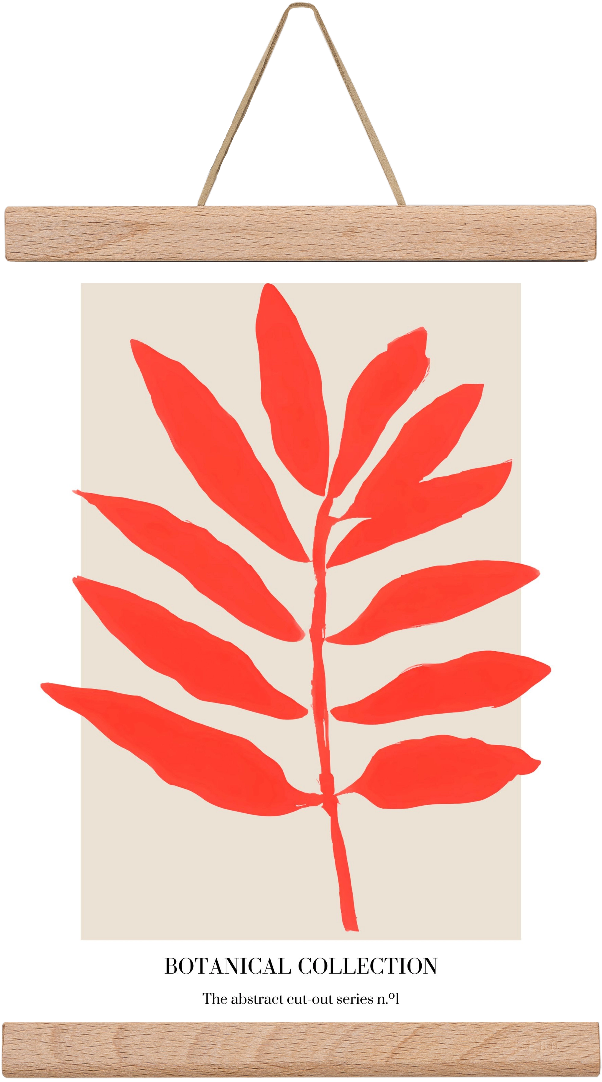 Botanical collection 1, 20x30 cm (20x30 cm), Tölgy akasztó