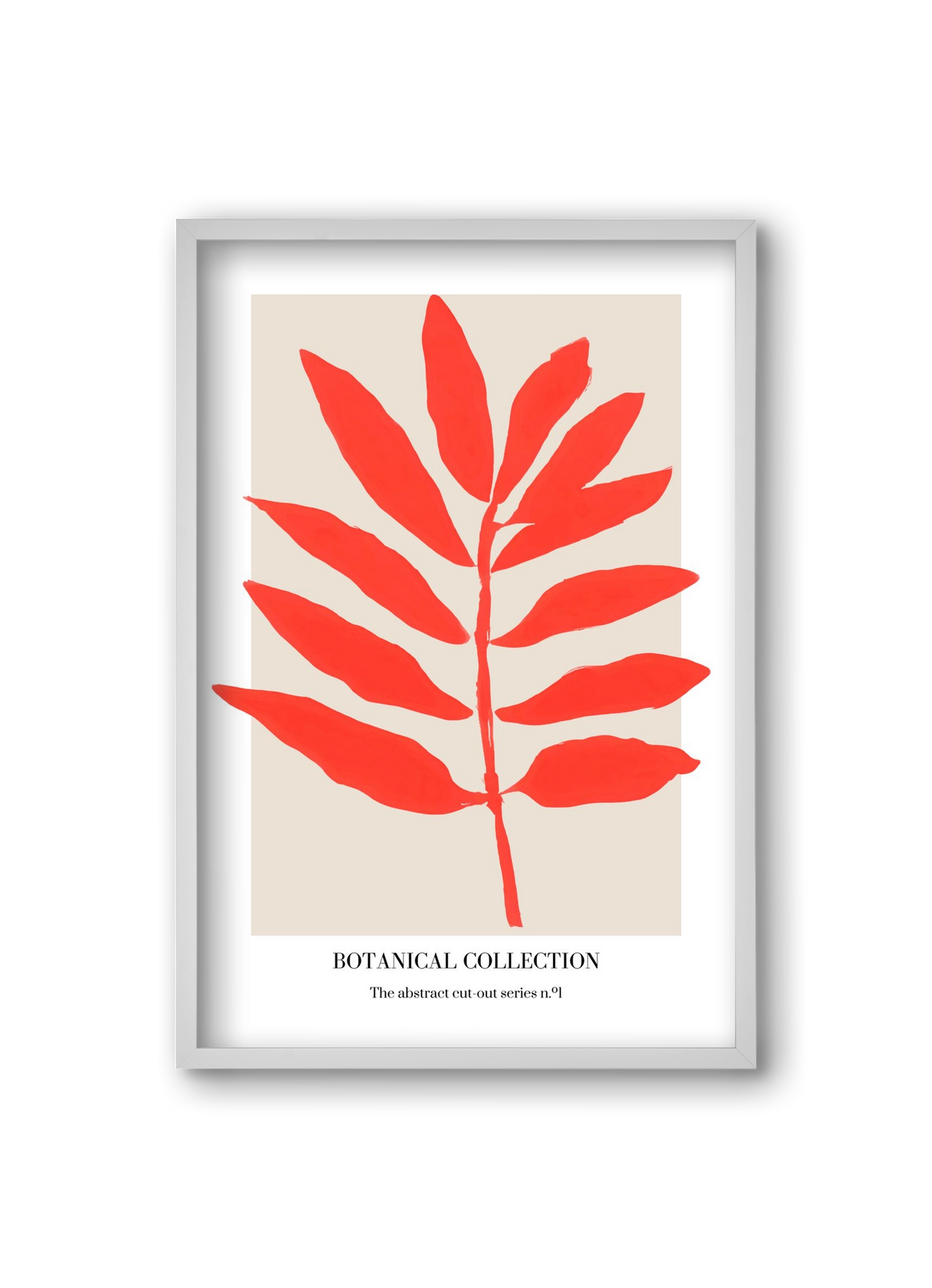 Botanical collection 1, 20x30 cm (20x30 cm), Fehér keret