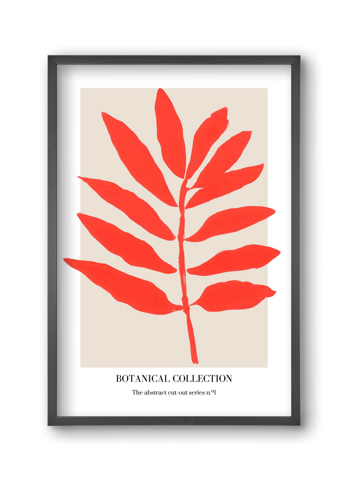 Botanical collection 1, 30x45 cm (30x45 cm), Fekete keret