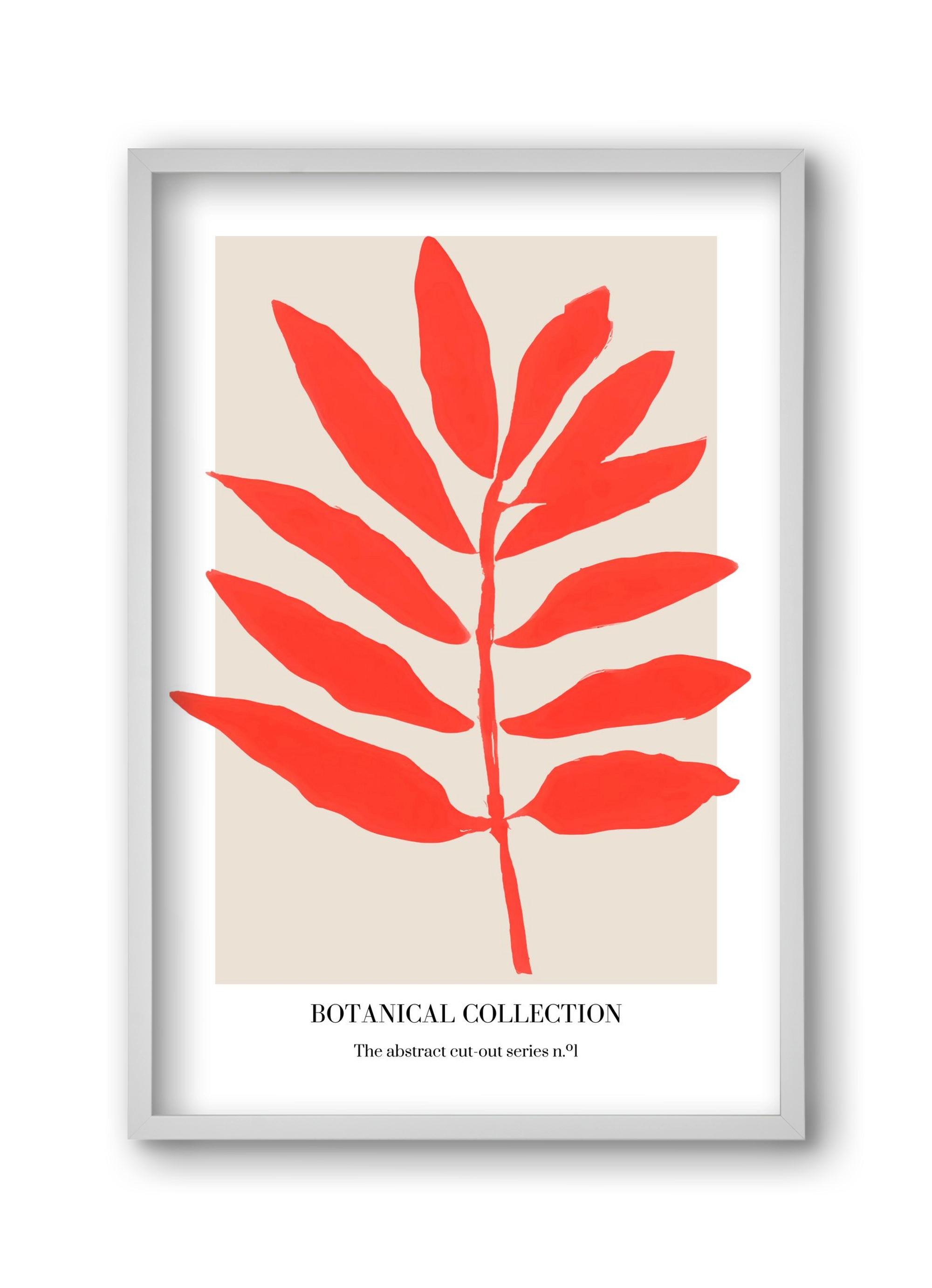 Botanical collection 1, 30x45 cm (30x45 cm), Fehér keret