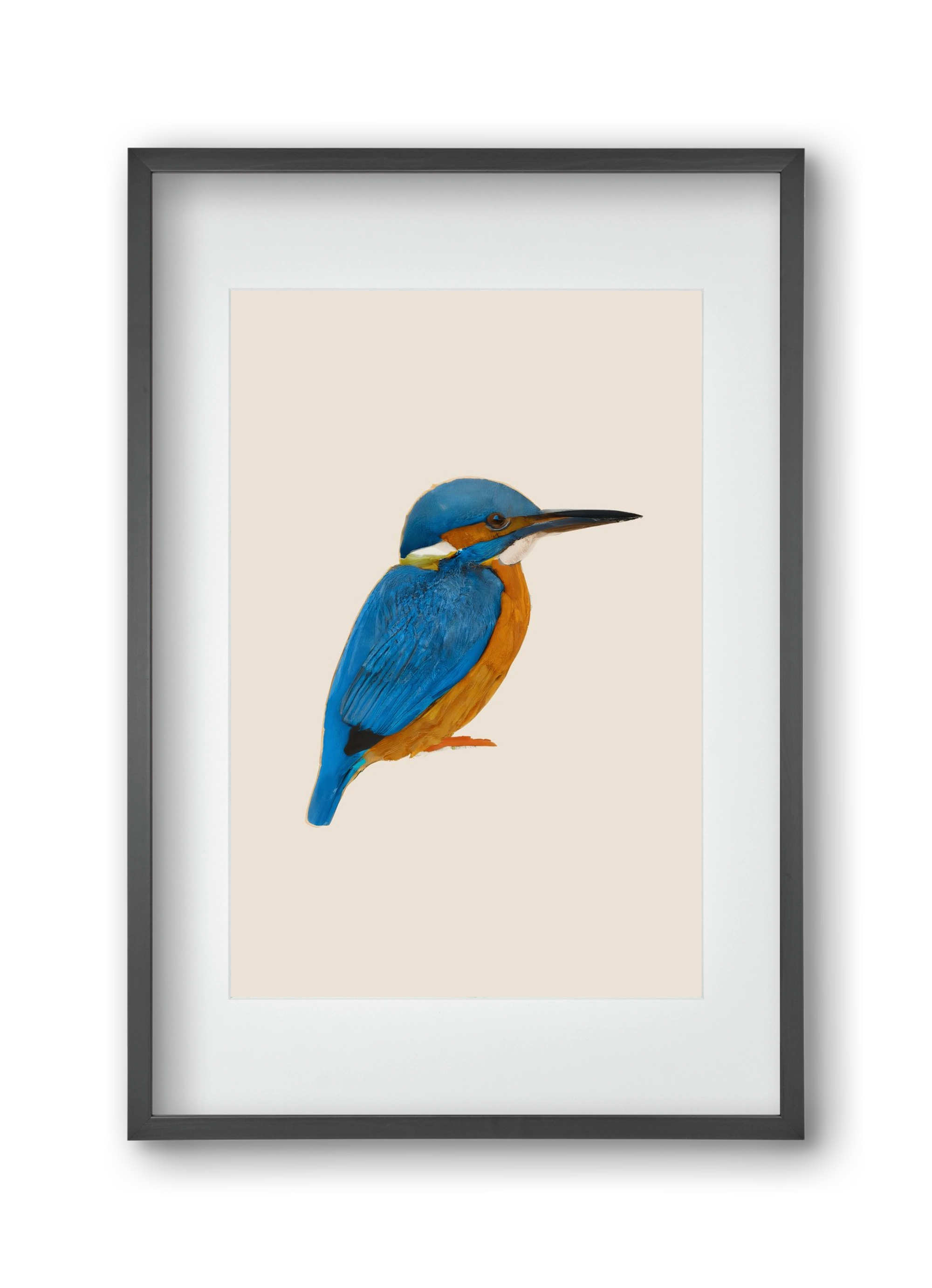 Rainforest rebel, 30x45 cm (20x30 cm), Fekete keret, paszpartuval