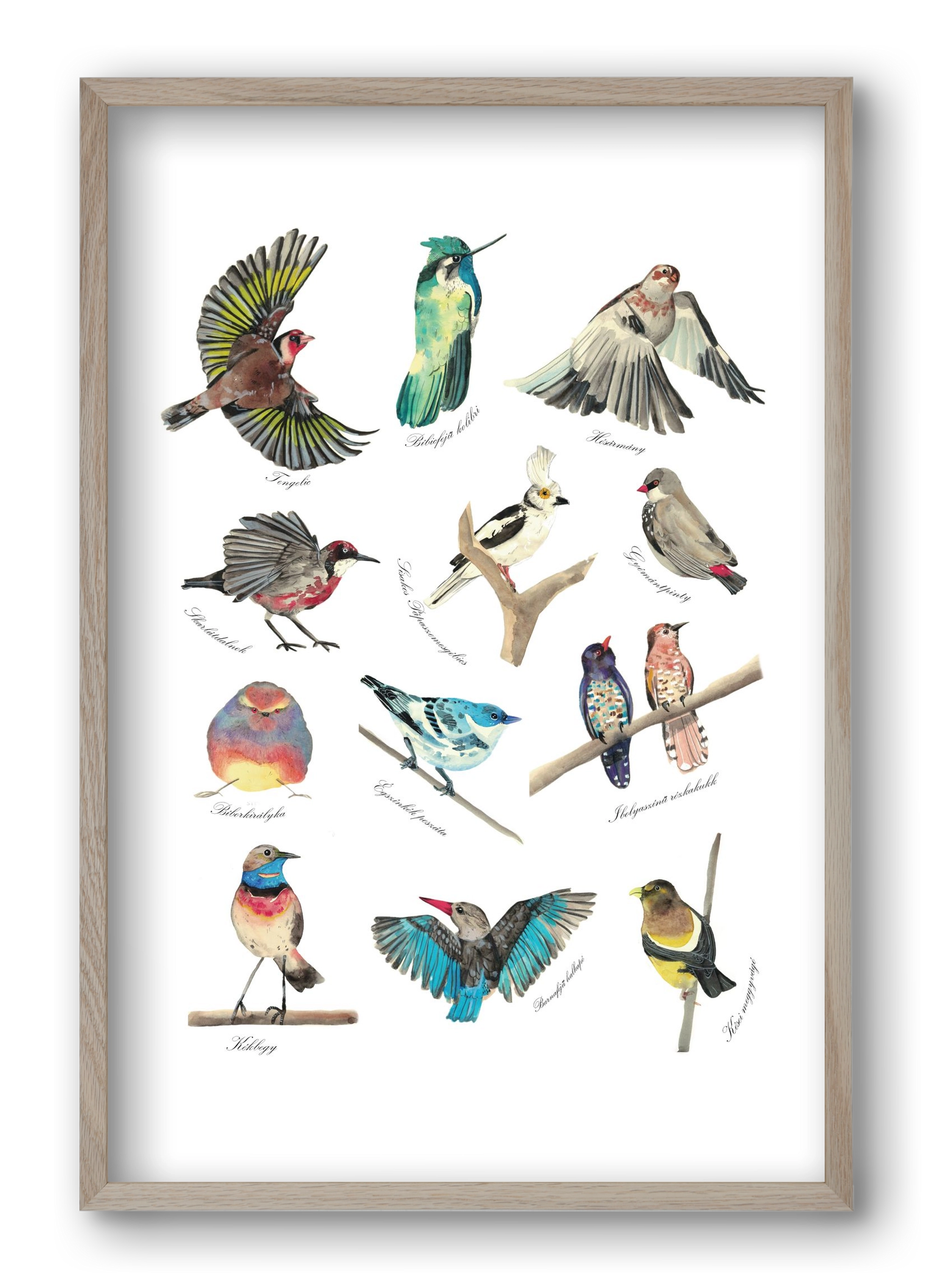 madarak, 40x60 cm (40x60 cm), Tölgy keret