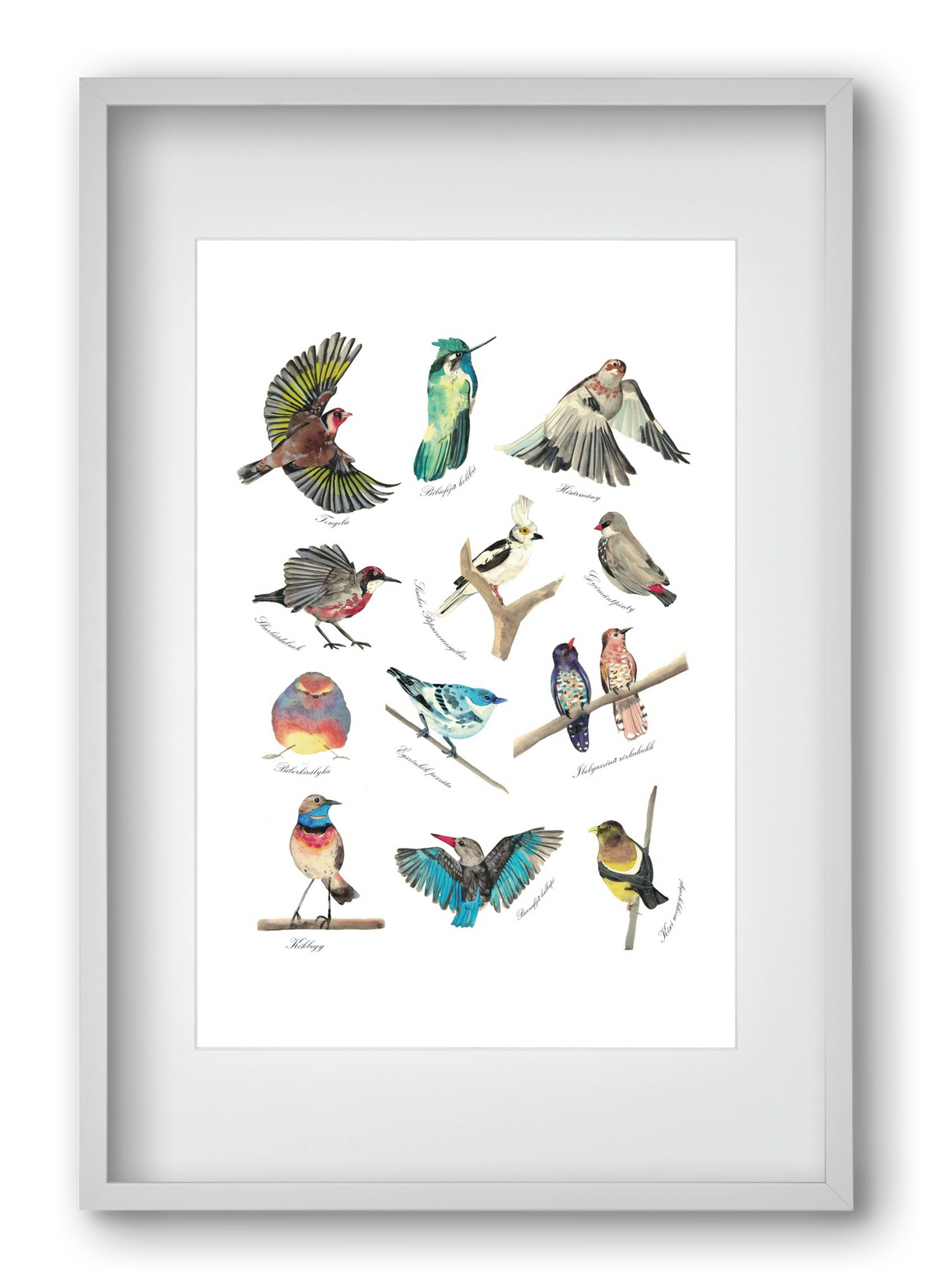 madarak, 40x60 cm (30x45 cm), Fehér keret, paszpartuval