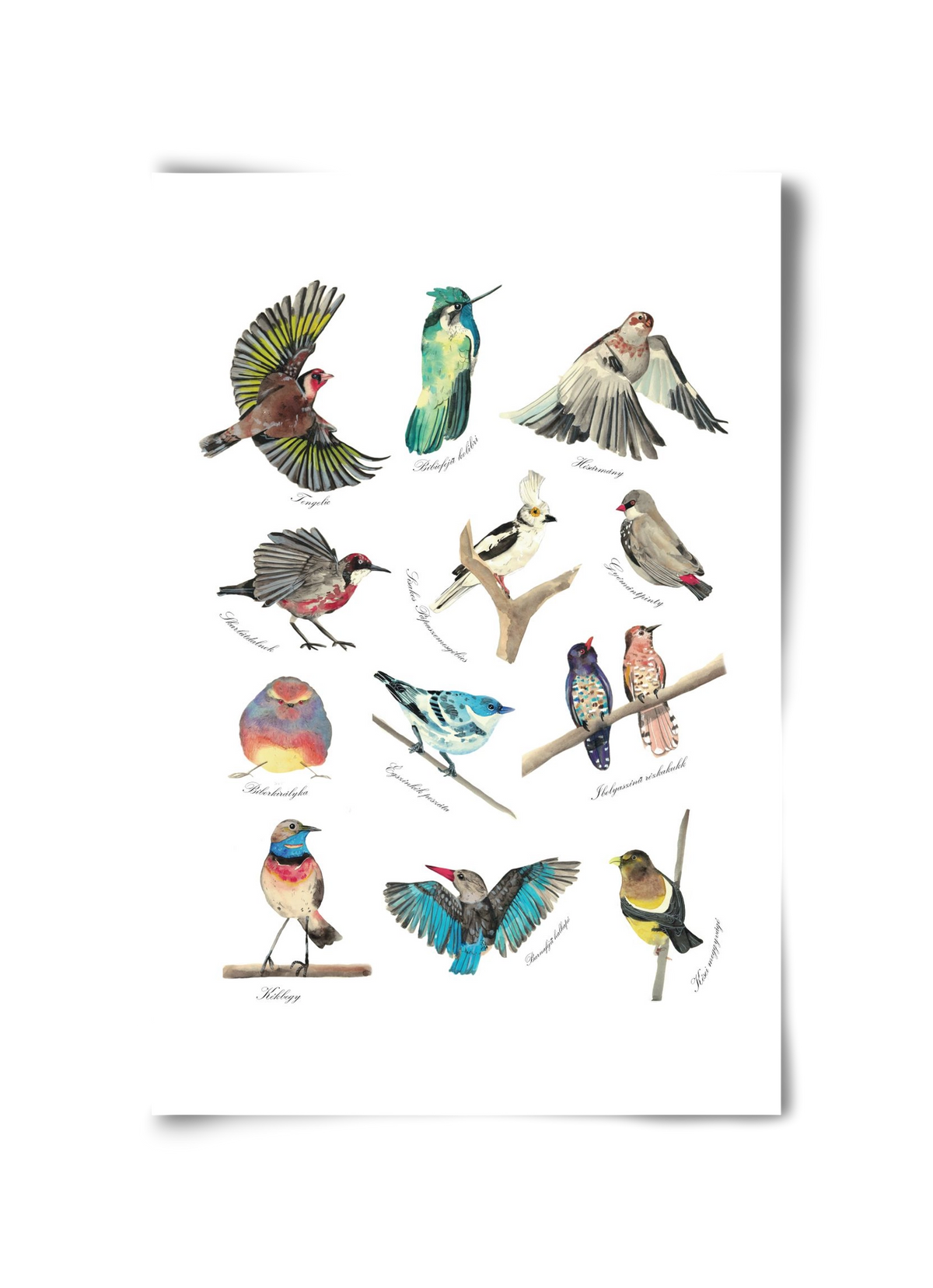 madarak, 30x45 cm, Keret nélkül