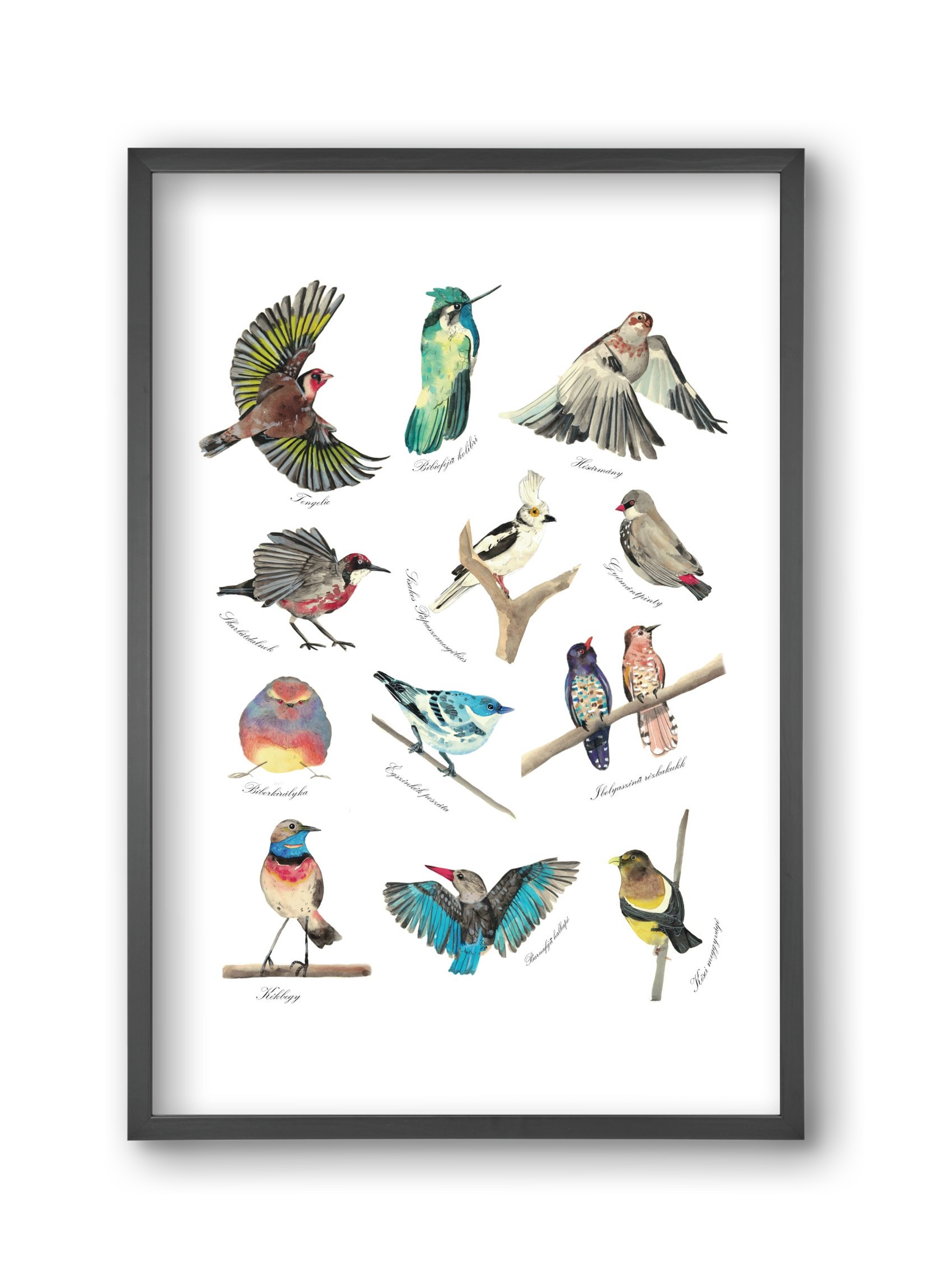 madarak, 30x45 cm (30x45 cm), Fekete keret