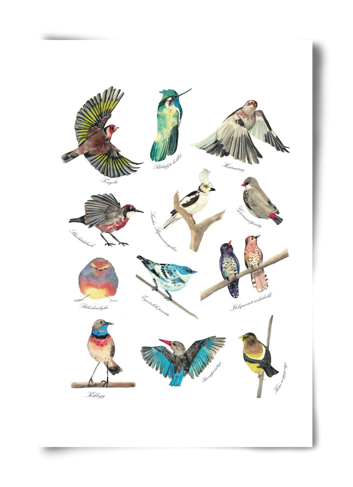 madarak, 40x60 cm, Keret nélkül