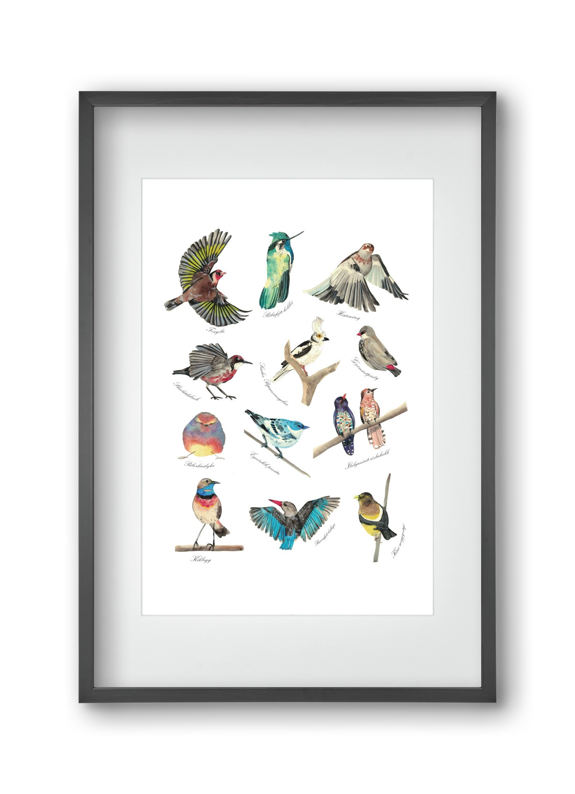madarak, 30x45 cm (20x30 cm), Fekete keret, paszpartuval