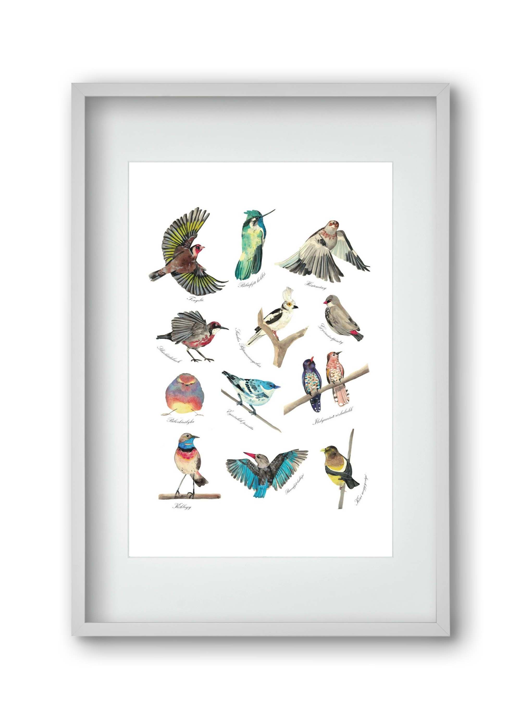 madarak, 30x45 cm (20x30 cm), Fehér keret, paszpartuval