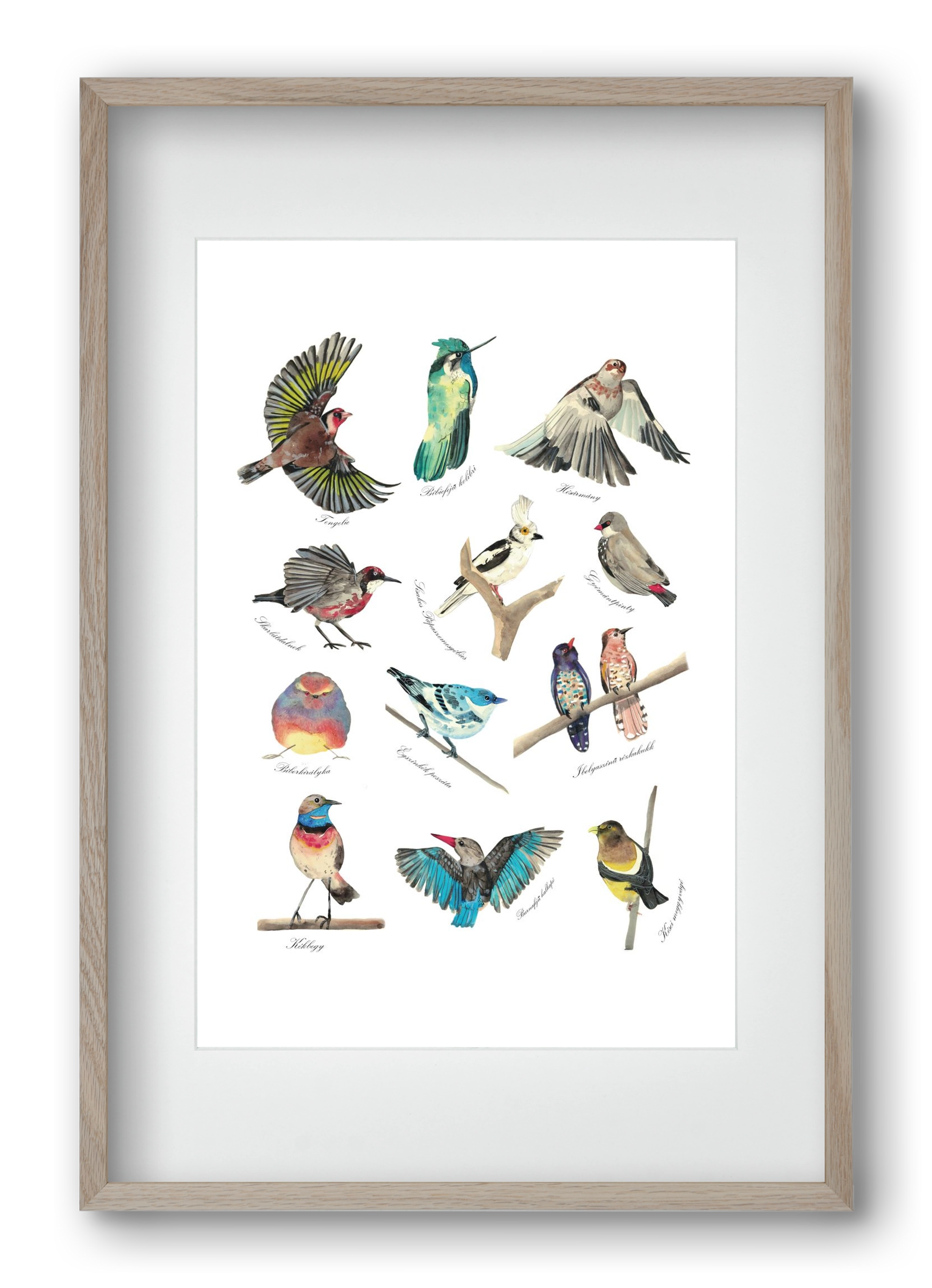 madarak, 40x60 cm (30x45 cm), Tölgy keret, paszpartuval