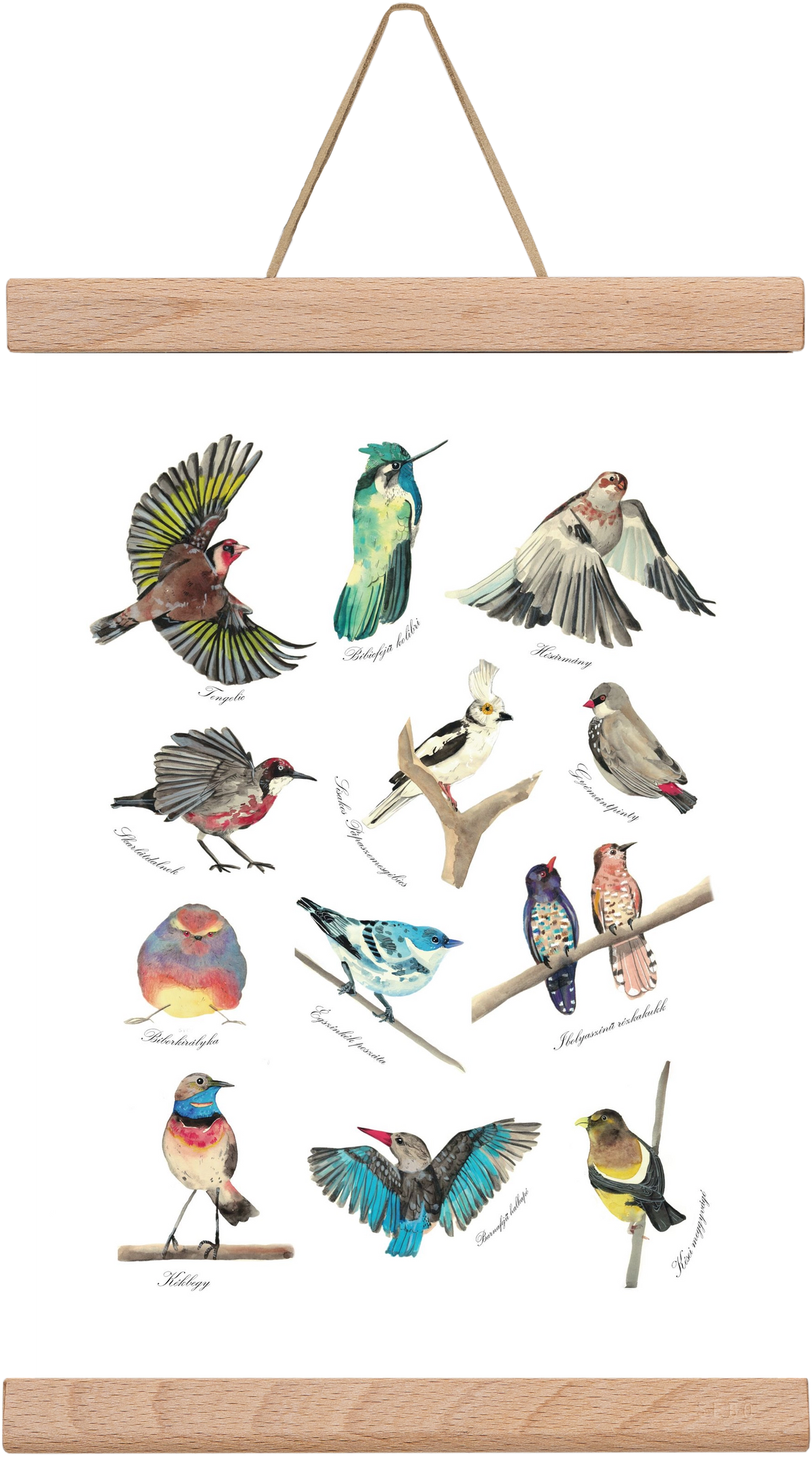 madarak, 20x30 cm (20x30 cm), Tölgy akasztó