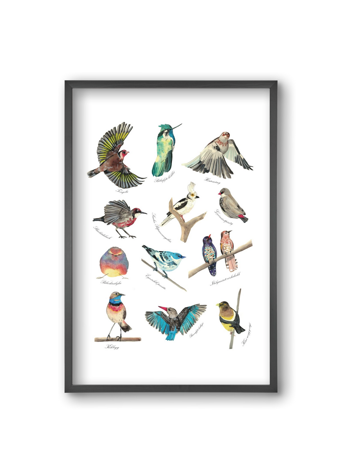 madarak, 20x30 cm (20x30 cm), Fekete keret