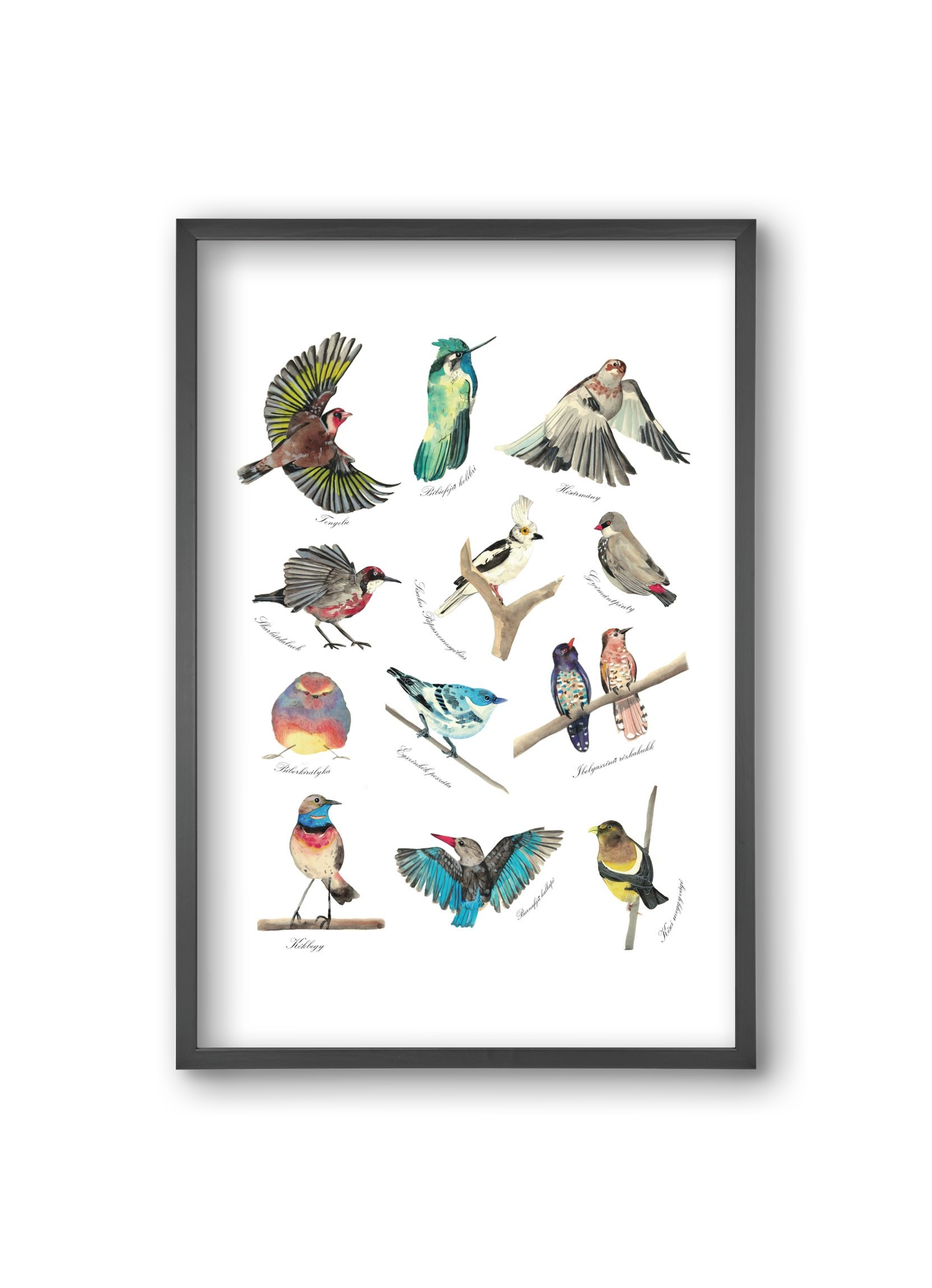 madarak, 20x30 cm (20x30 cm), Fekete keret