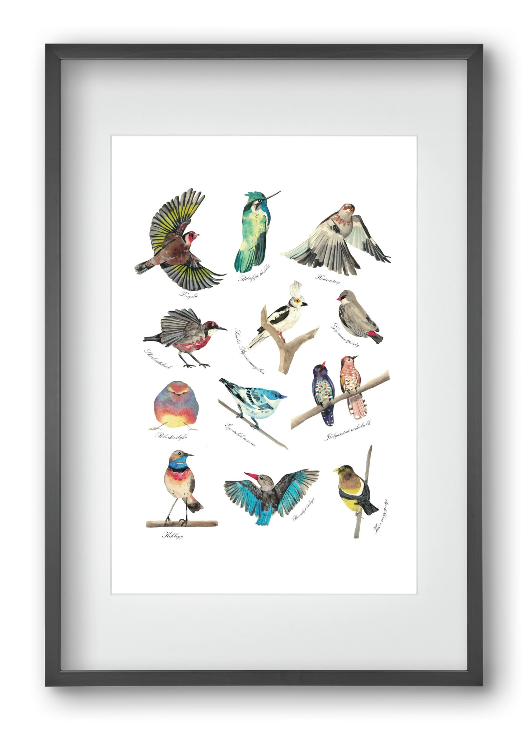 madarak, 40x60 cm (30x45 cm), Fekete keret, paszpartuval