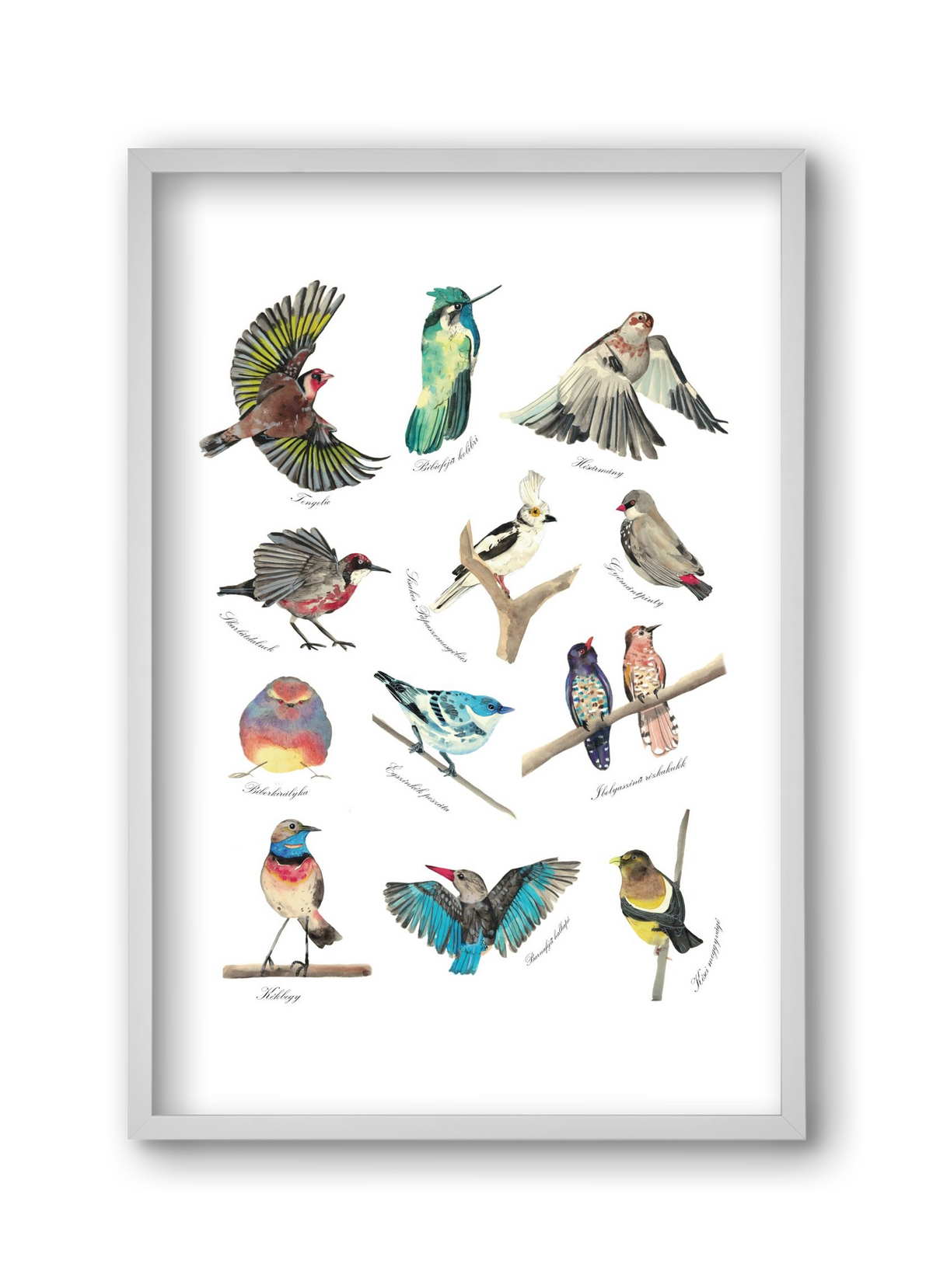 madarak, 30x45 cm (30x45 cm), Fehér keret