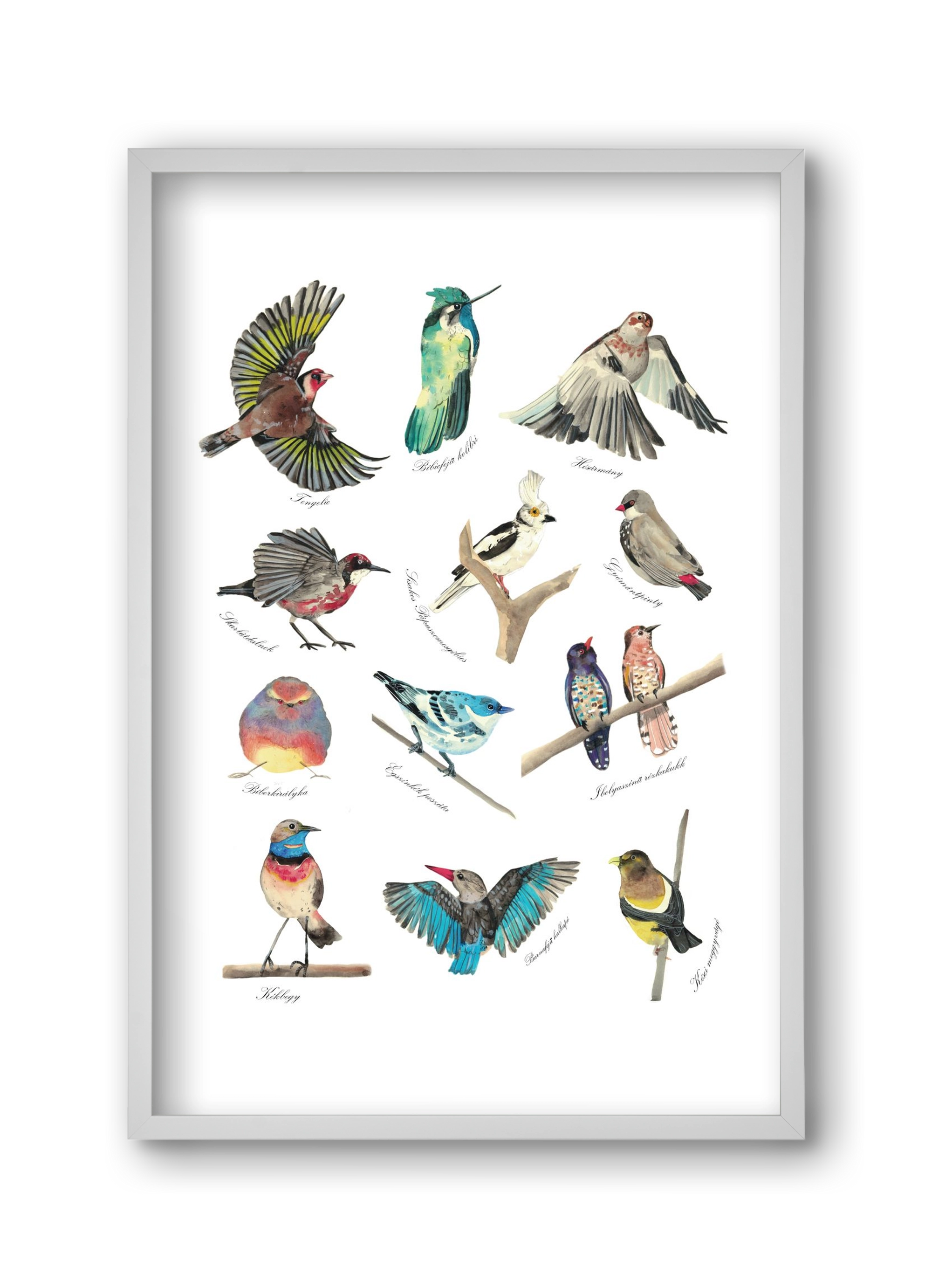 madarak, 30x45 cm (30x45 cm), Fehér keret