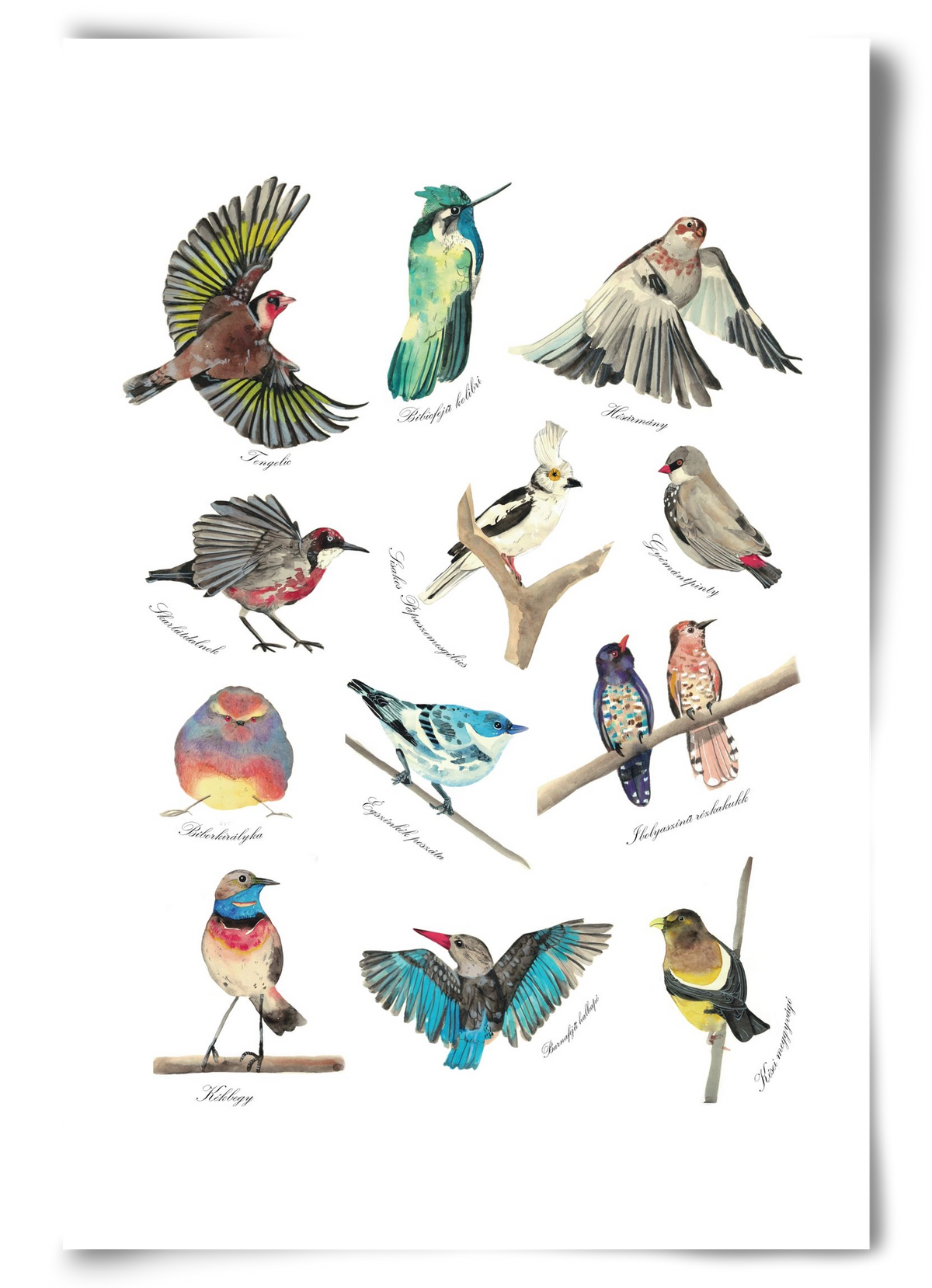 madarak, 60x90 cm, Keret nélkül