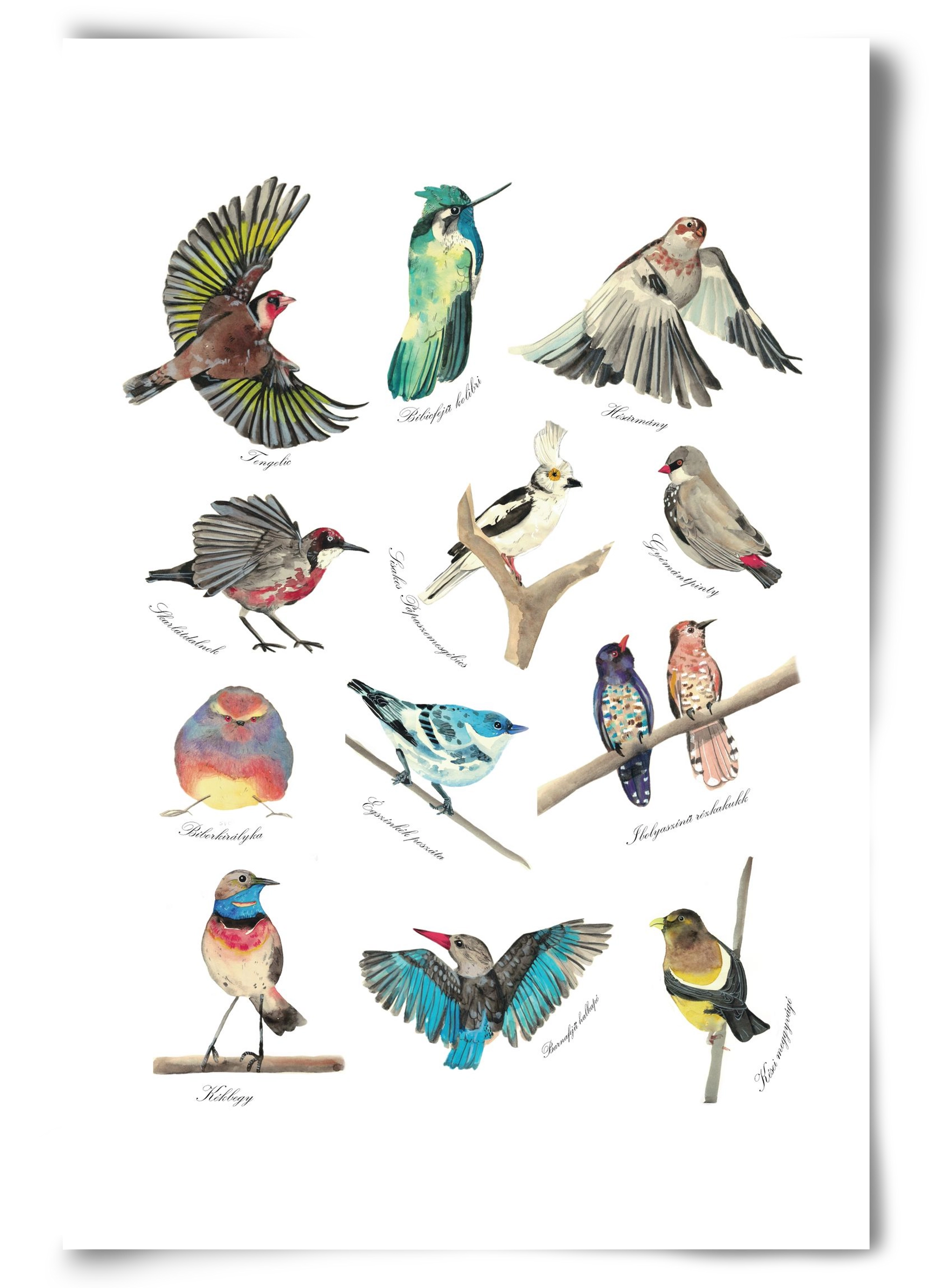 madarak, 60x90 cm, Keret nélkül