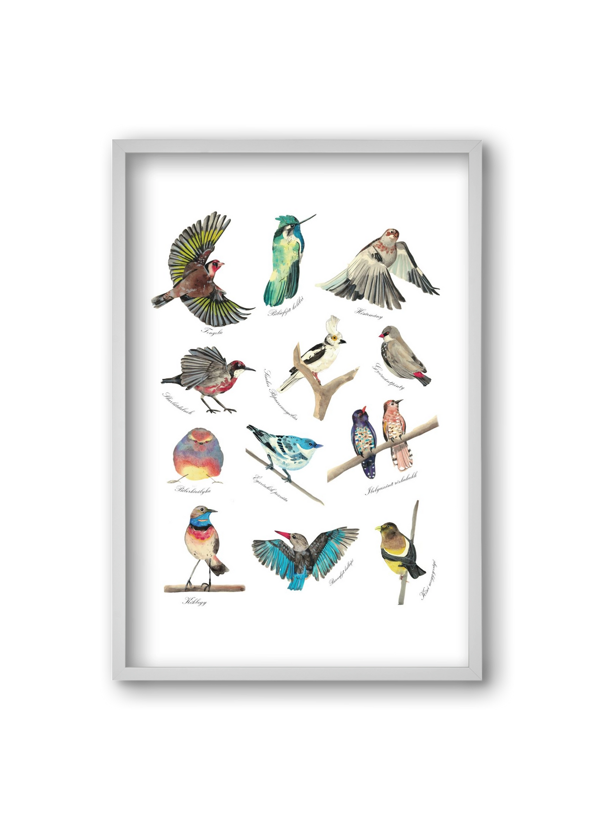 madarak, 20x30 cm (20x30 cm), Fehér keret