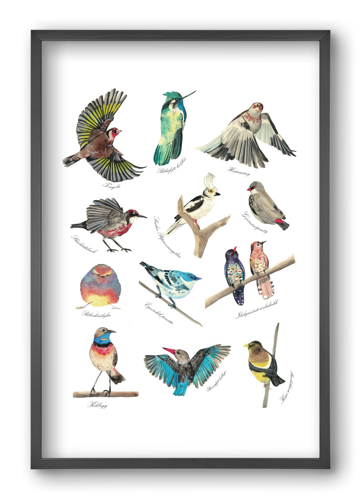 madarak, 40x60 cm (40x60 cm), Fekete keret