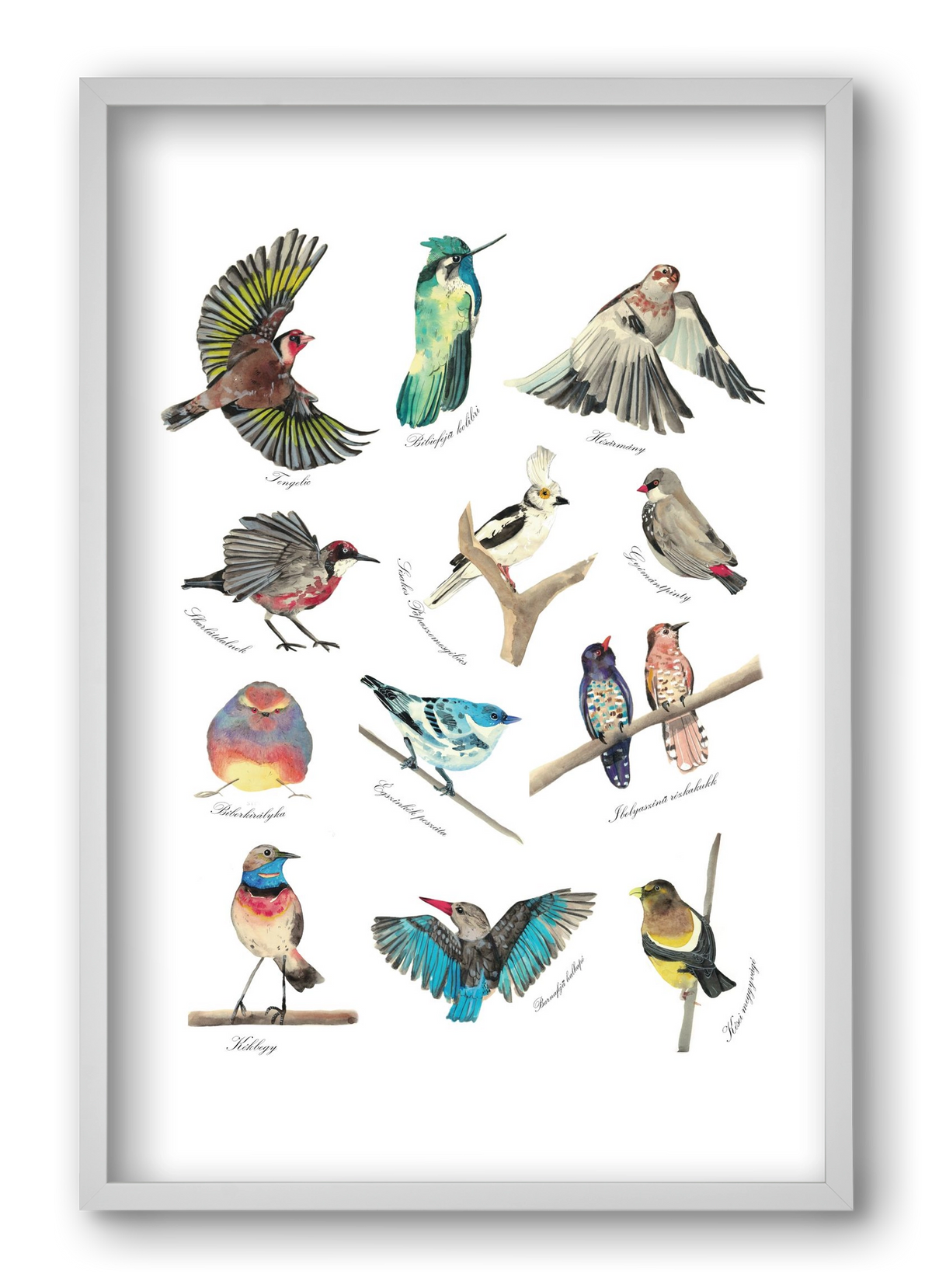 madarak, 40x60 cm (40x60 cm), Fehér keret