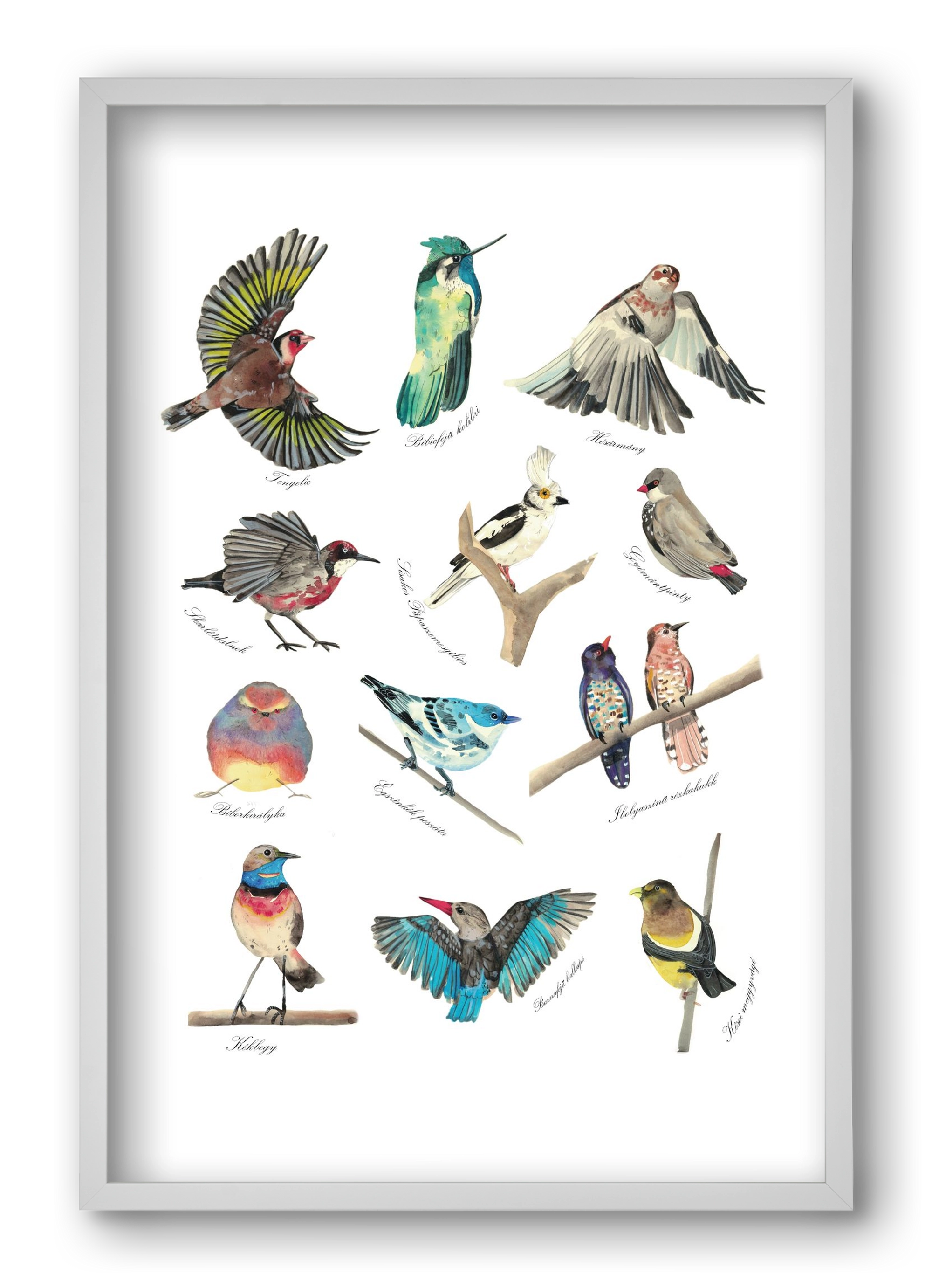 madarak, 40x60 cm (40x60 cm), Fehér keret