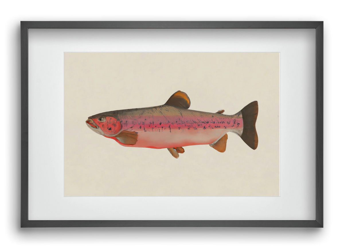 Fishy, 60x40 cm (45x30 cm), Fekete keret, paszpartuval