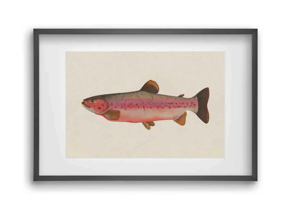 Fishy, 45x30 cm (30x20 cm), Fekete keret, paszpartuval