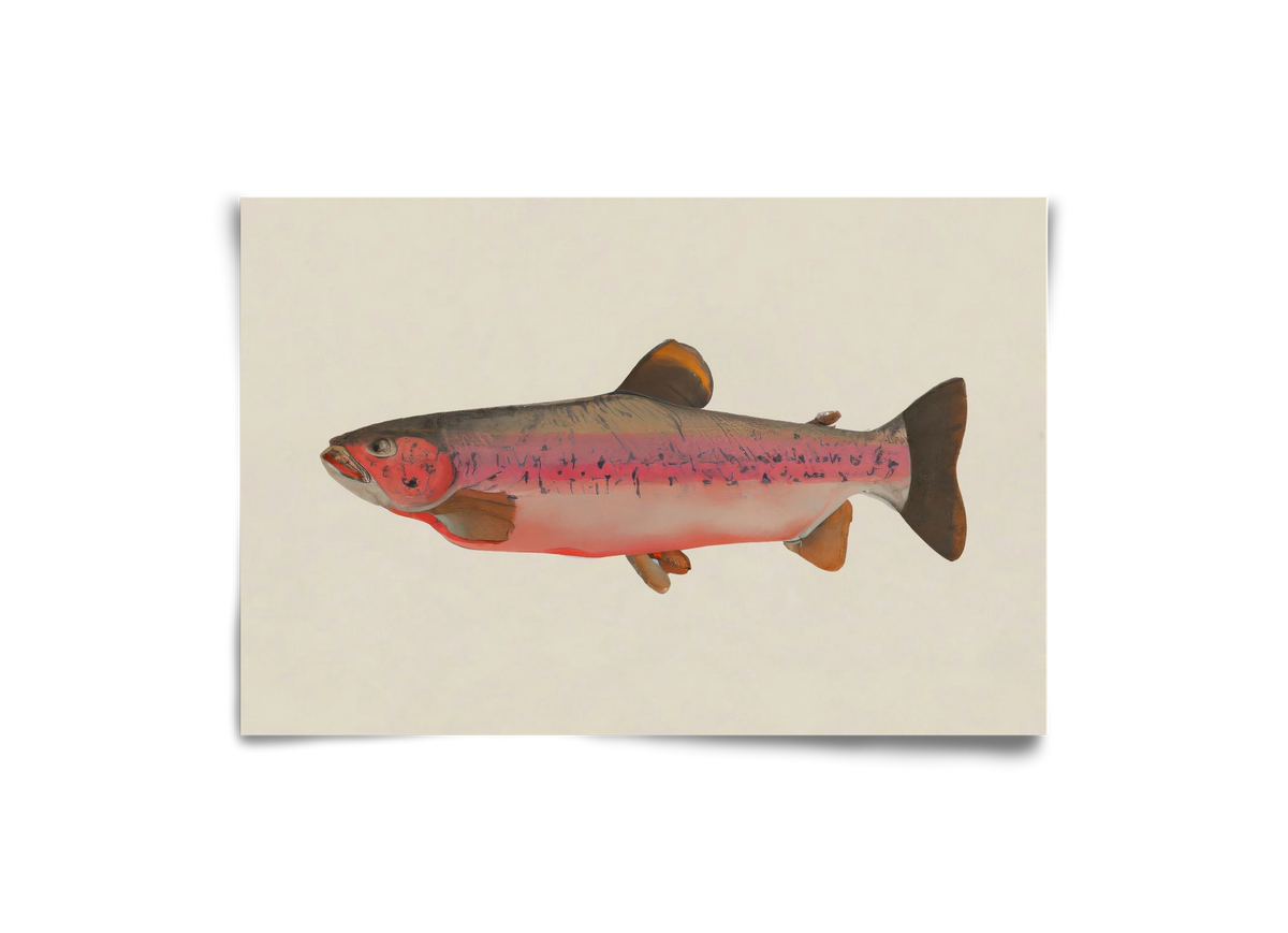 Fishy, 30x20 cm, Keret nélkül