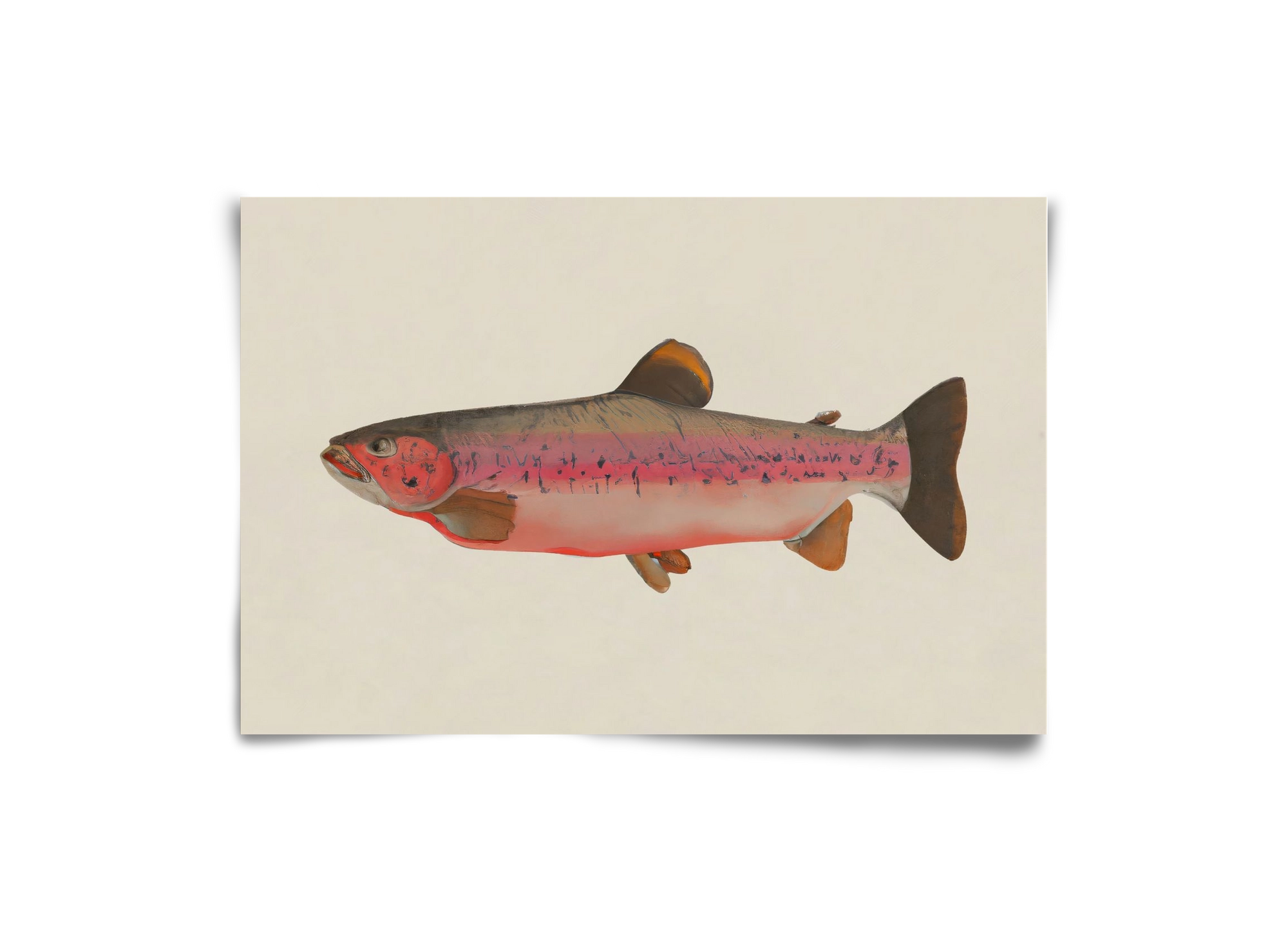 Fishy, 30x20 cm, Keret nélkül