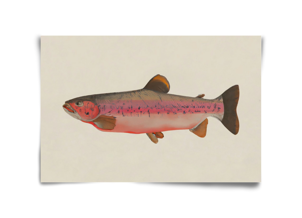 Fishy, 45x30 cm, Keret nélkül