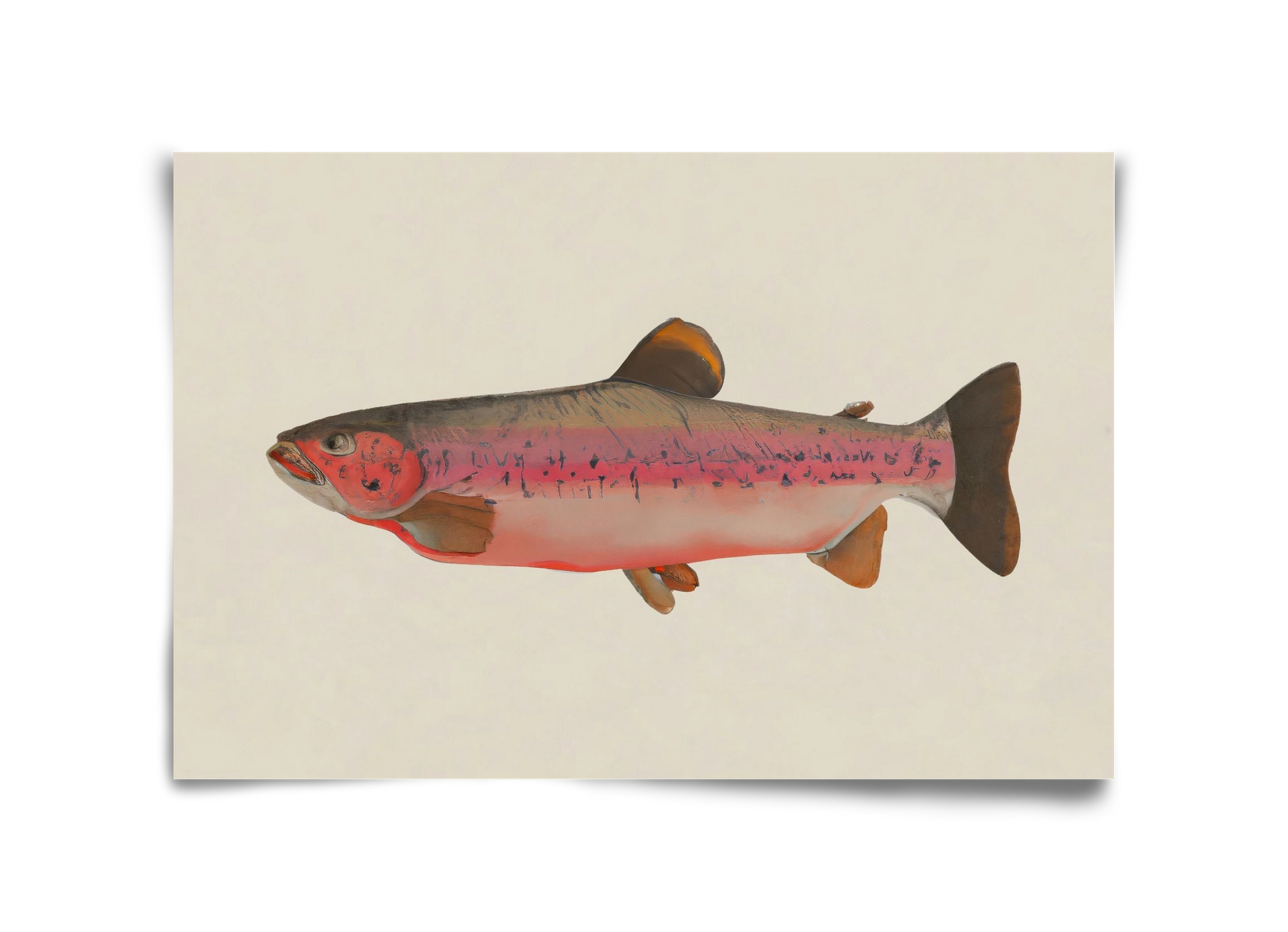 Fishy, 45x30 cm, Keret nélkül