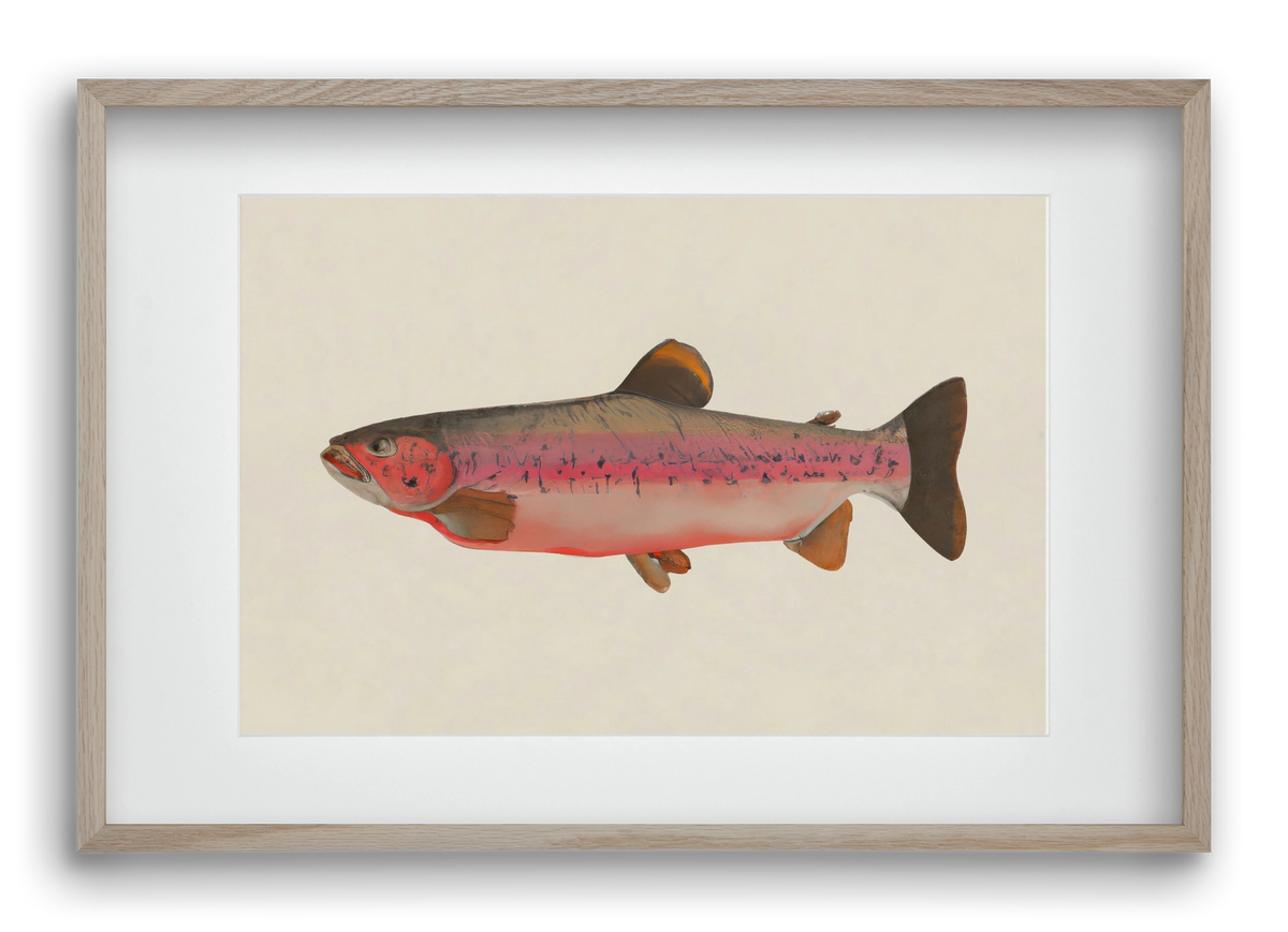 Fishy, 60x40 cm (45x30 cm), Tölgy keret, paszpartuval