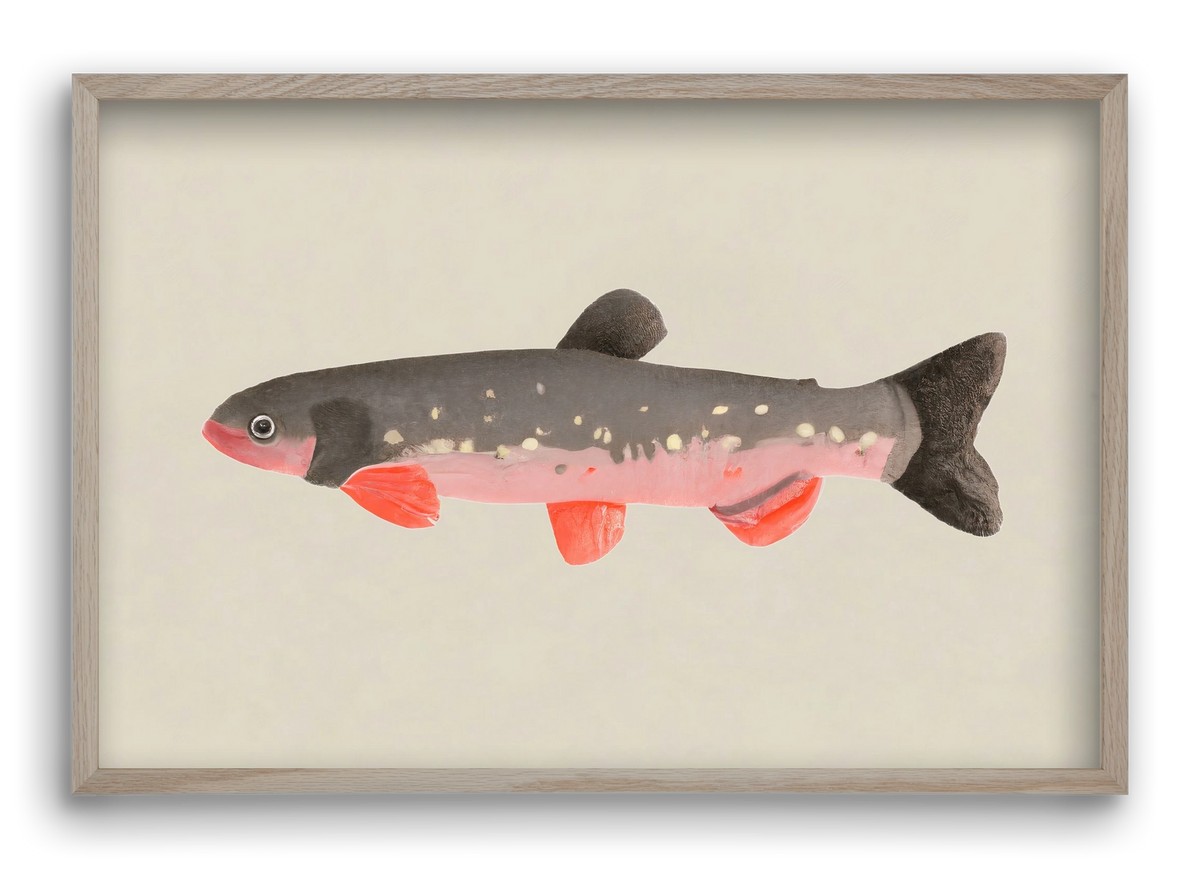 Still fishy, 60x40 cm (60x40 cm), Tölgy keret