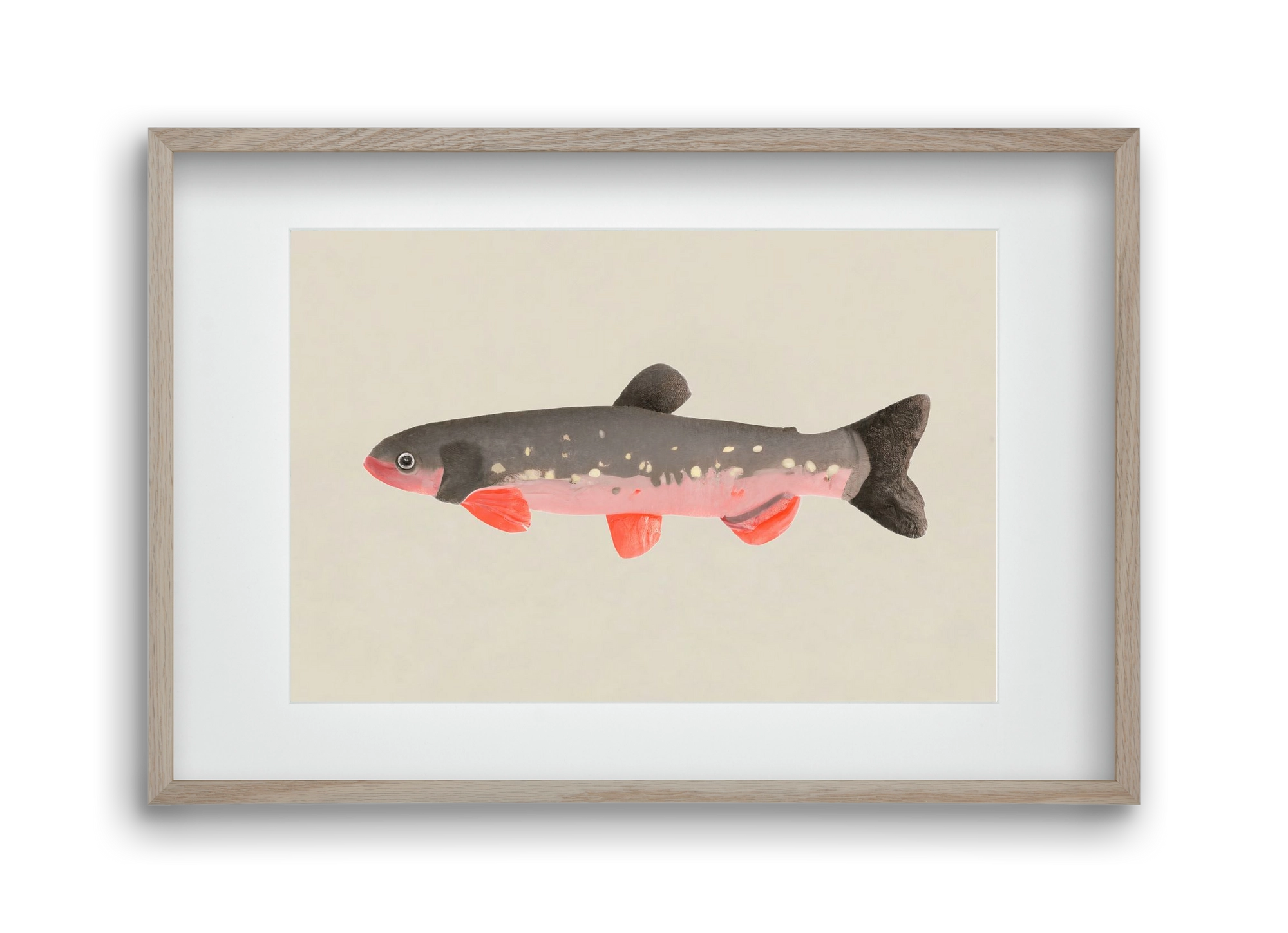 Still fishy, 45x30 cm (30x20 cm), Tölgy keret, paszpartuval