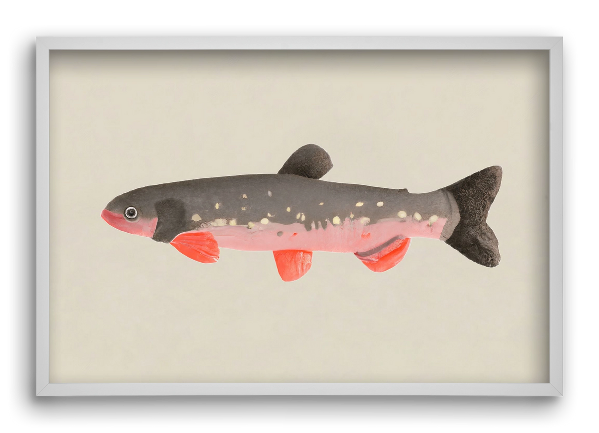 Still fishy, 60x40 cm (60x40 cm), Fehér keret