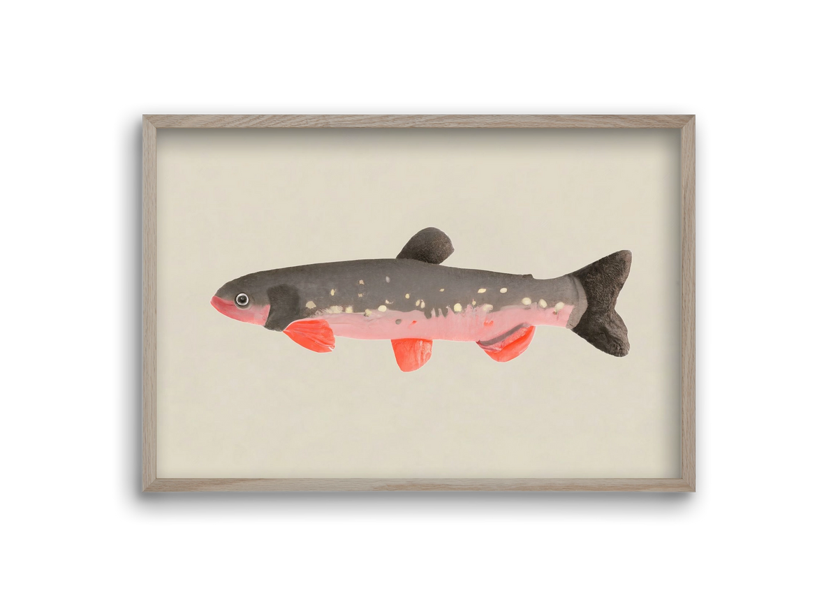 Still fishy, 30x20 cm (30x20 cm), Tölgy keret