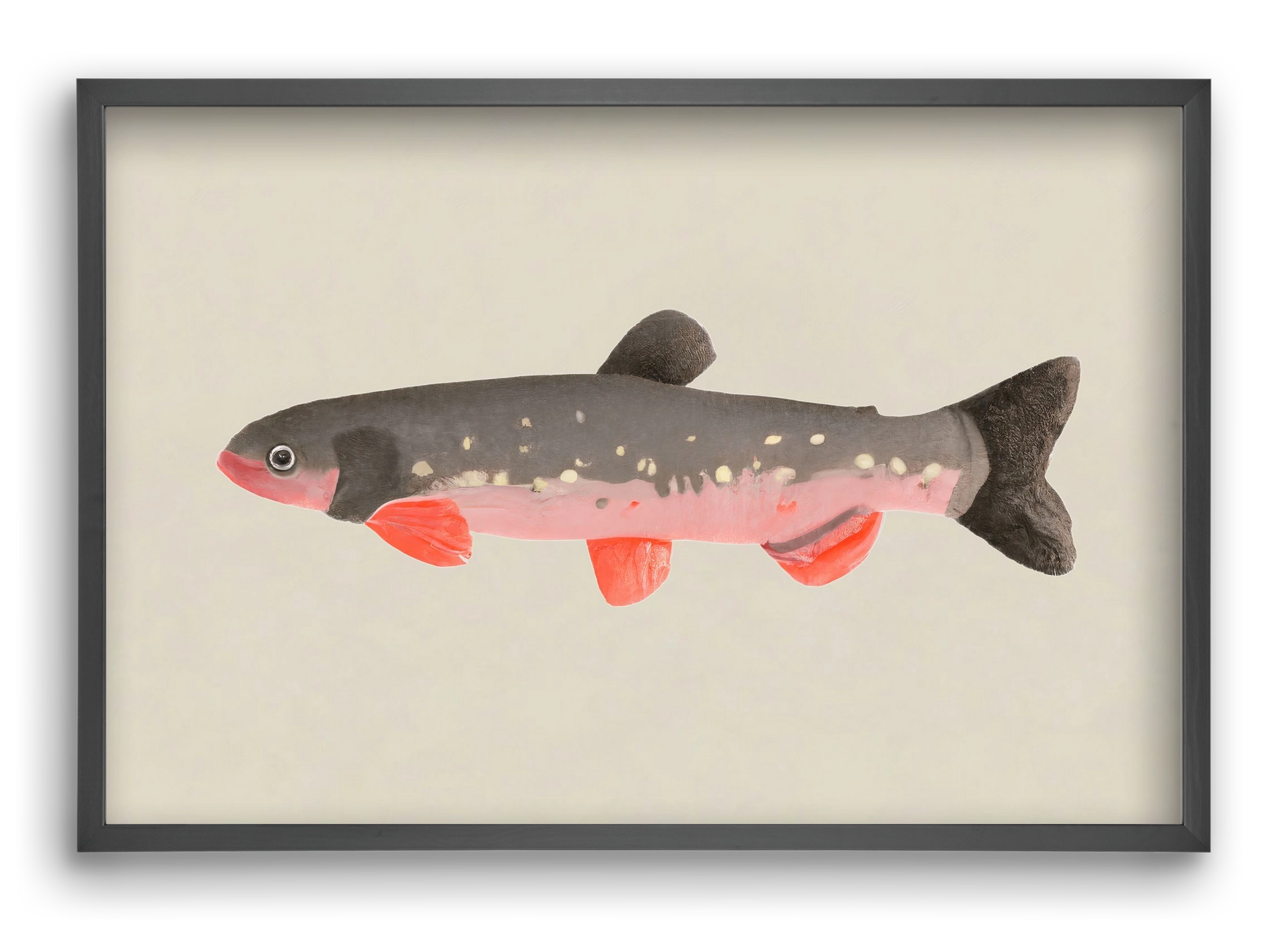 Still fishy, 60x40 cm (60x40 cm), Fekete keret